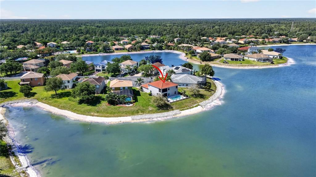 2645 Fishtail Palm CT