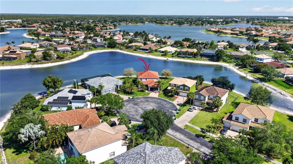 2645 Fishtail Palm CT