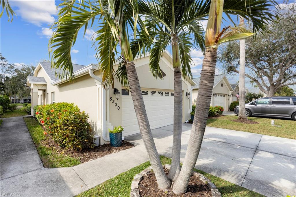 8330 Ibis Cove CIR B242