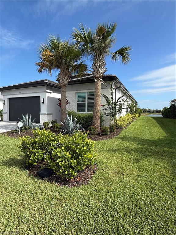 12436 Purple Ficus WAY