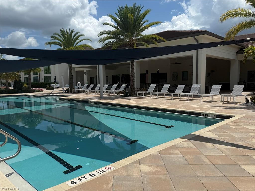 12436 Purple Ficus WAY