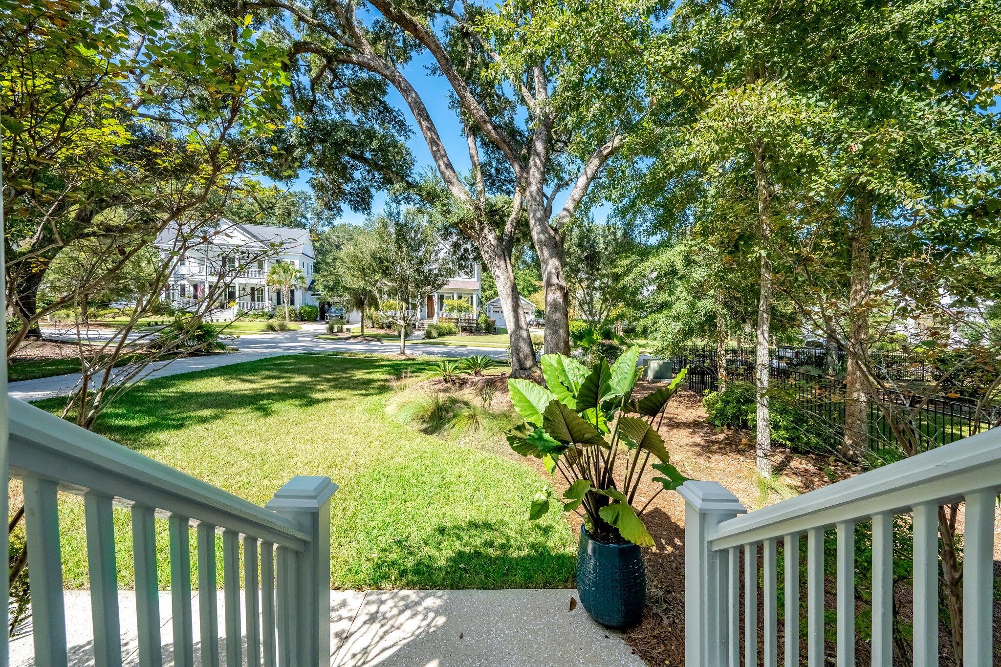 Porch steps overlook a leafy front yard with mature trees and tropical plants.
