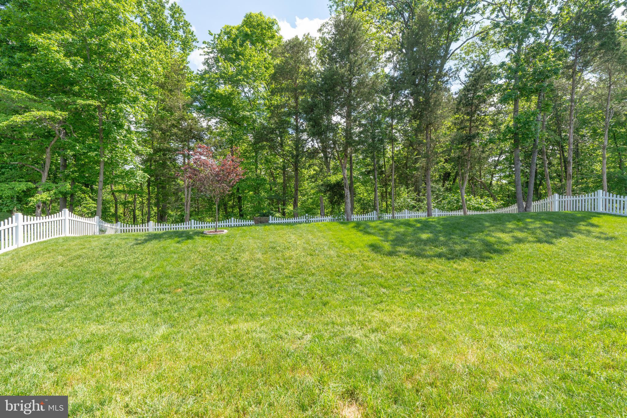 15113 HAYMARKET LANDING DRIVE