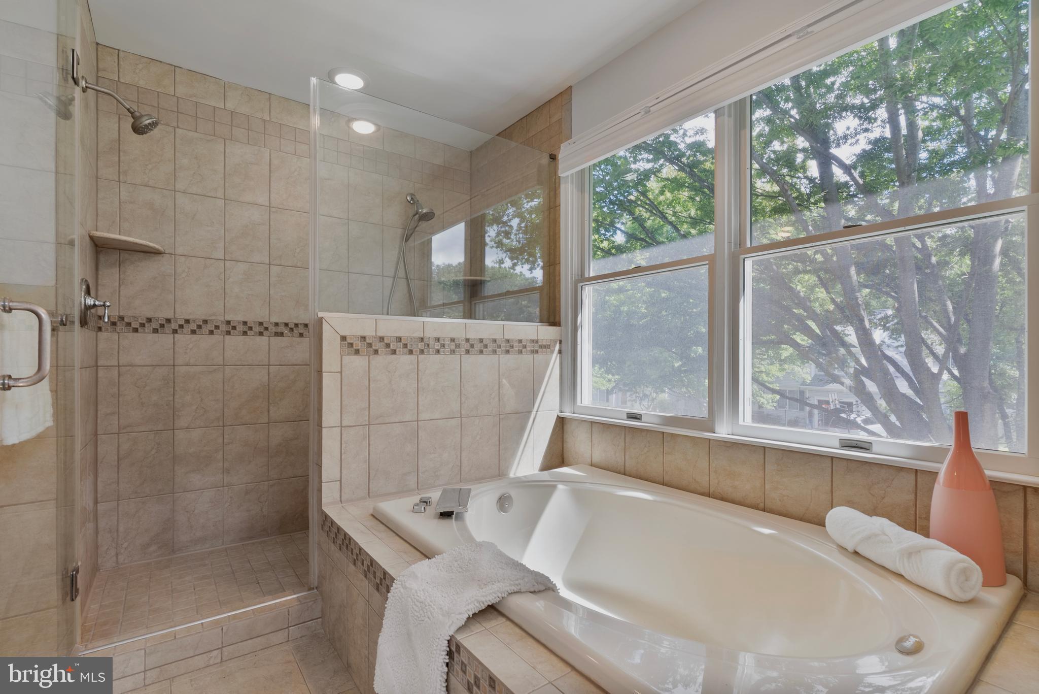 13212 WINDY LEAF COURT