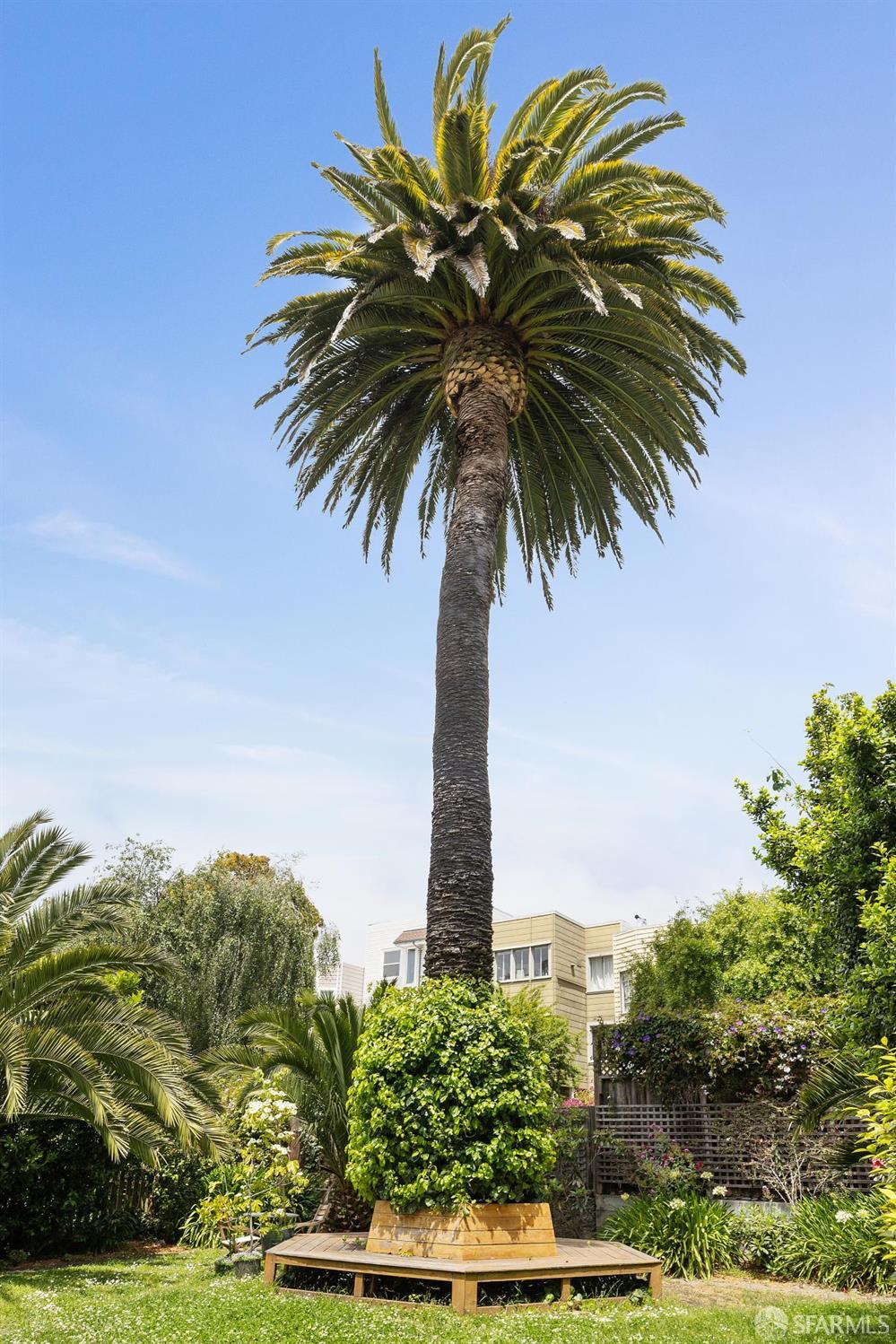 1932 Fell Street # 1