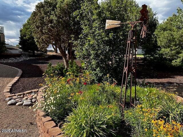 1169 BUCKSKIN Court