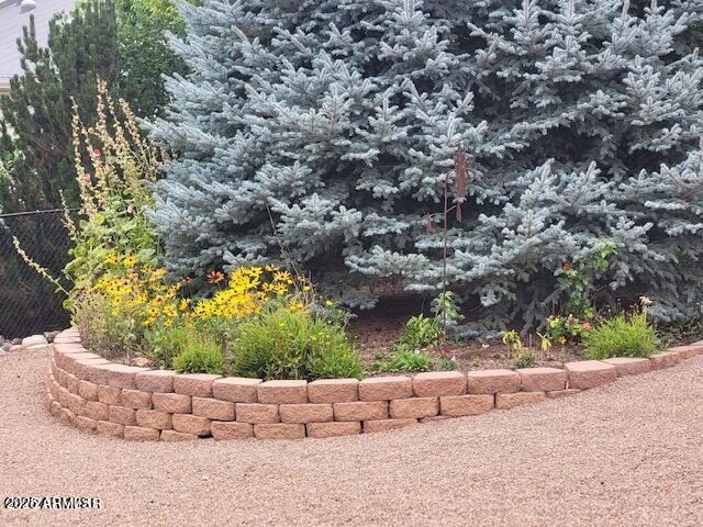 1169 BUCKSKIN Court