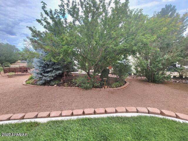 1169 BUCKSKIN Court