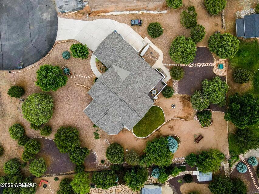 1169 BUCKSKIN Court