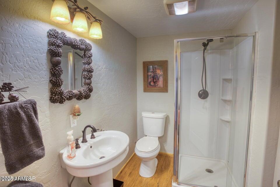 1169 BUCKSKIN Court
