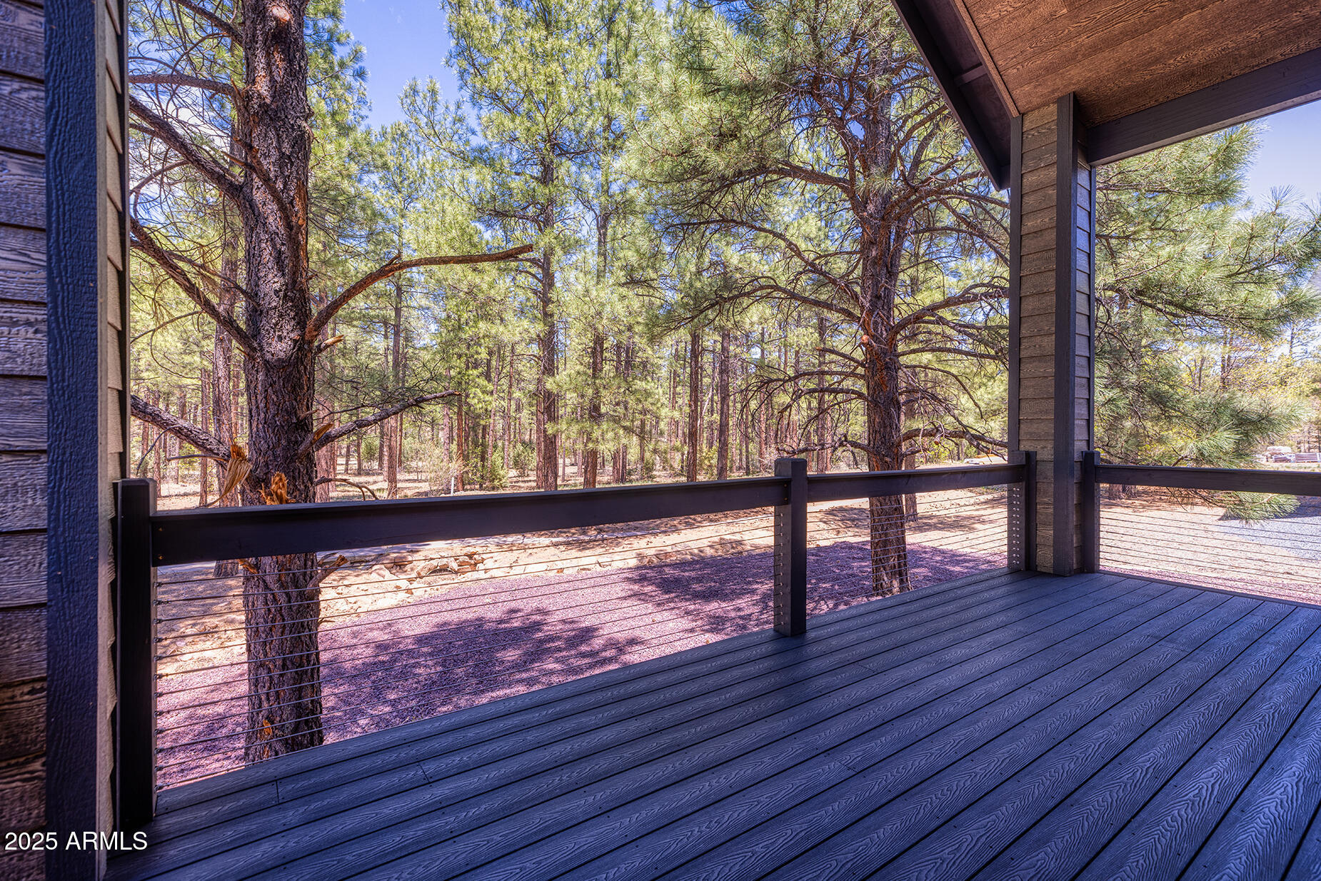 Covered deck with cable railing overlooking a wooded yard of tall pine trees.