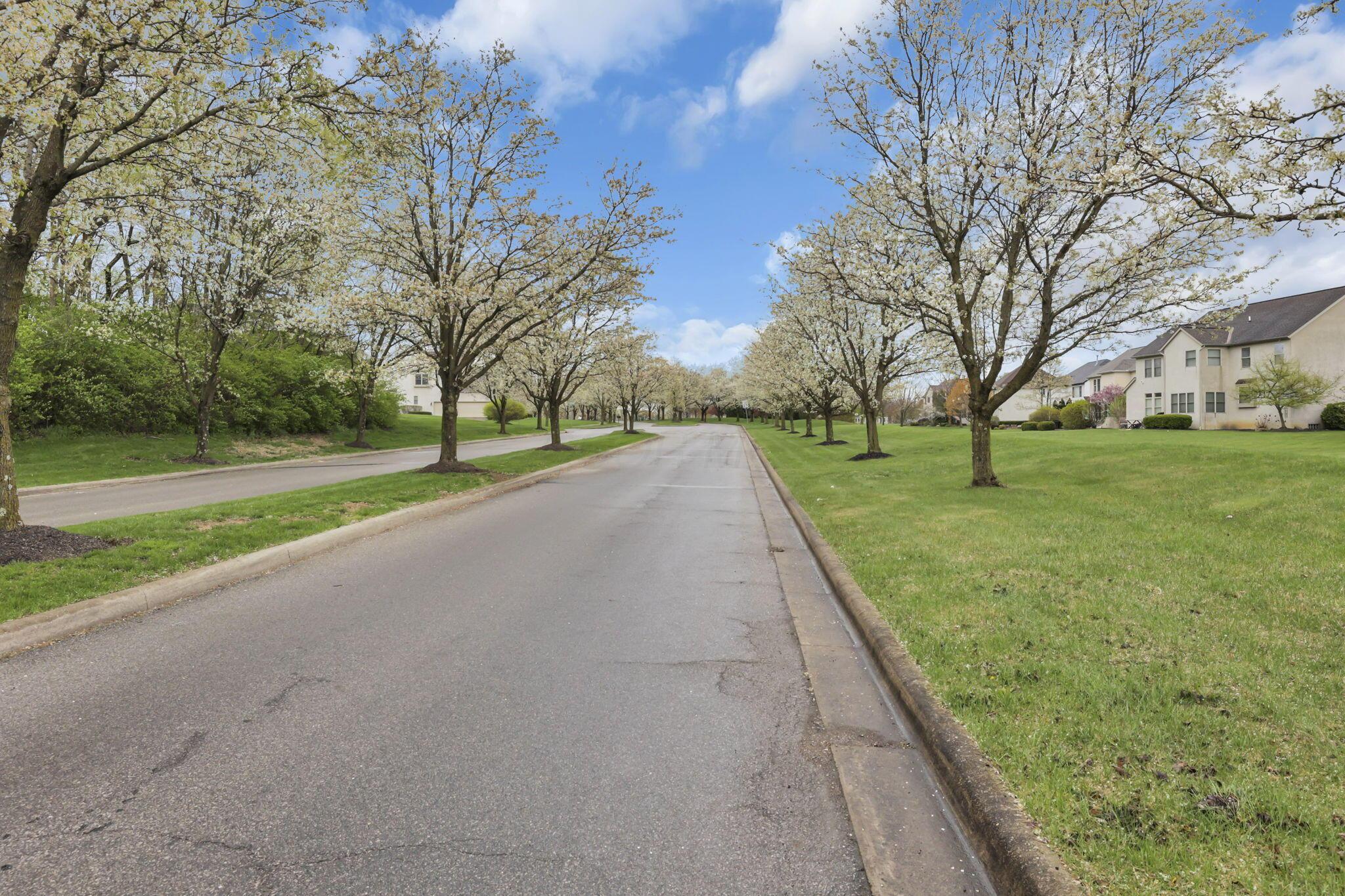 13361 Church View Drive