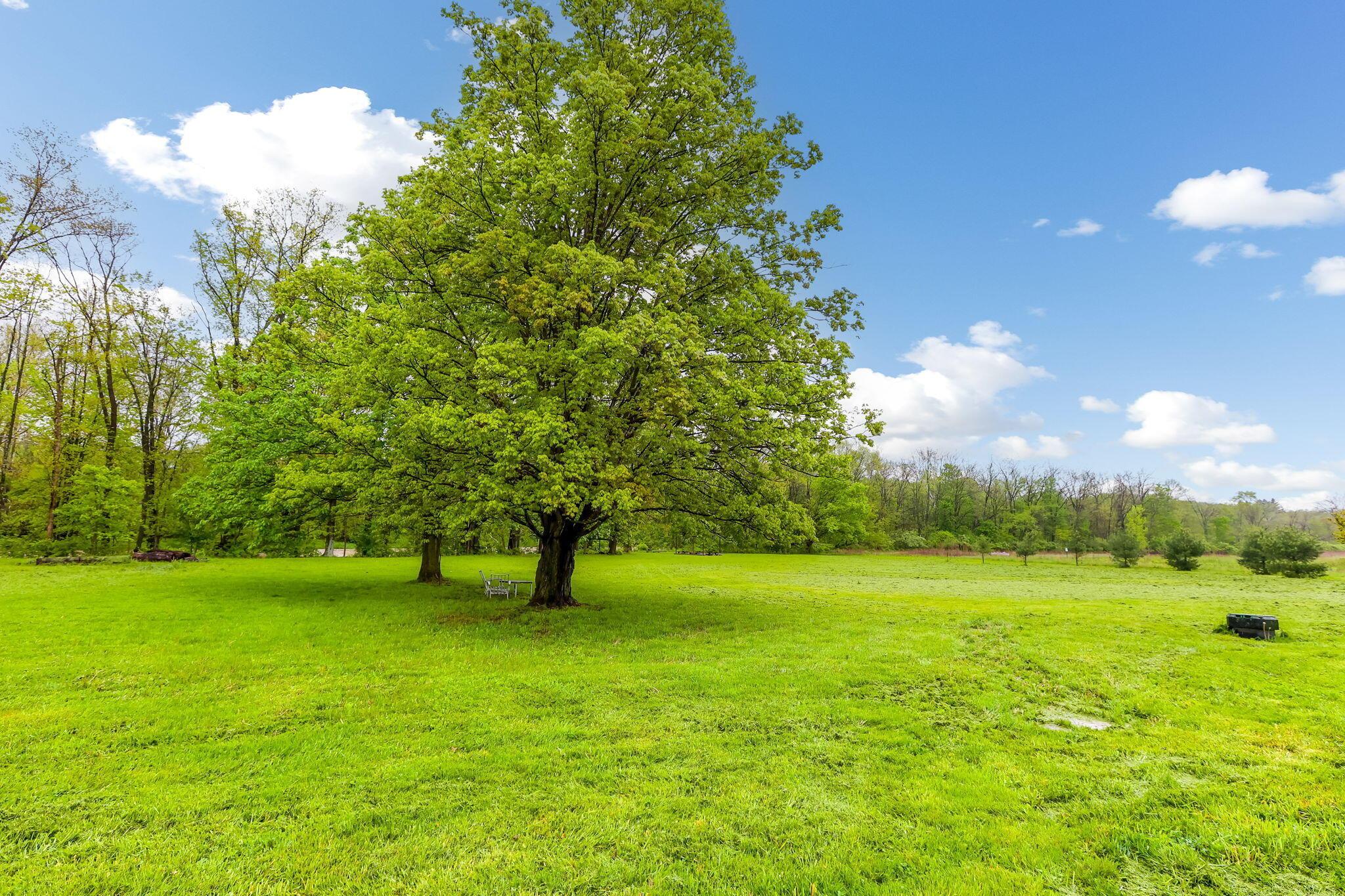 6509 Olentangy River Road