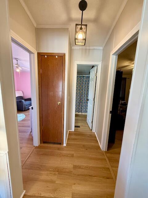 1949 Big Run Bluff Boulevard