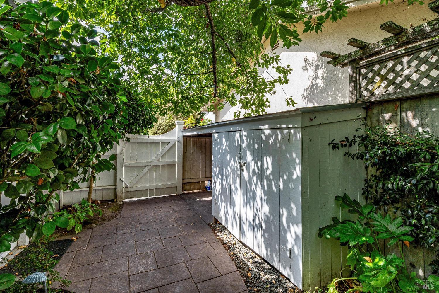 Paved backyard path beside a white shed, open gate, leafy plants, and wooden trellis.
