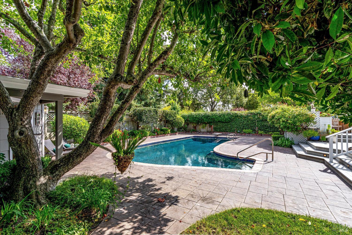 Backyard swimming pool with a curved edge, stone patio, and mature shade trees.