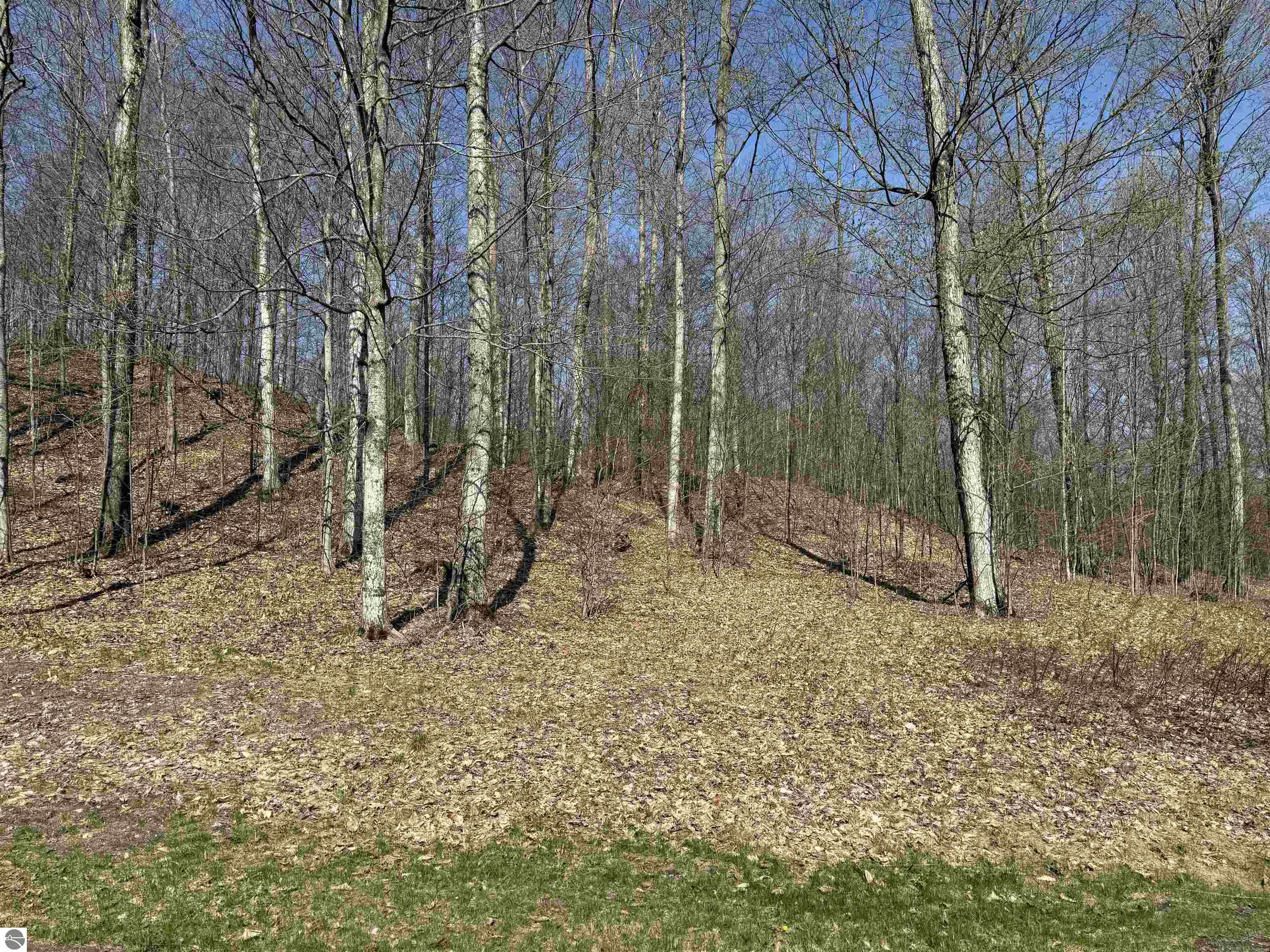 0000 W Timber View Trail