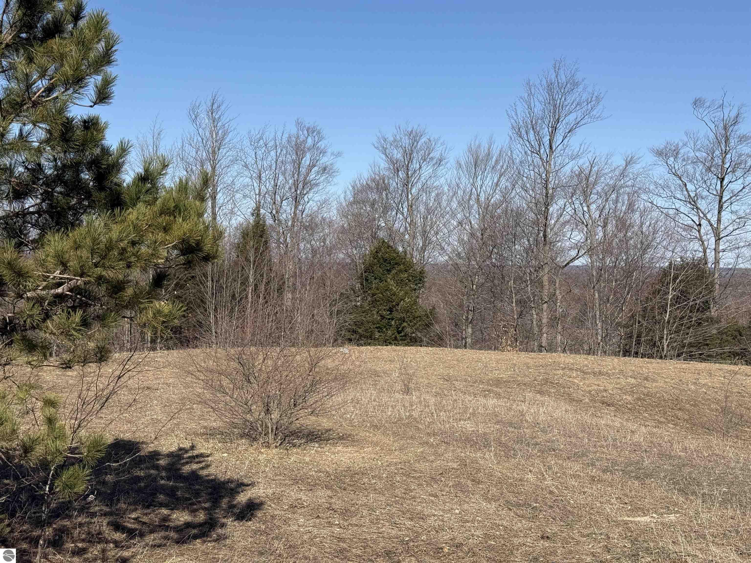 015 Horton Creek Drive
