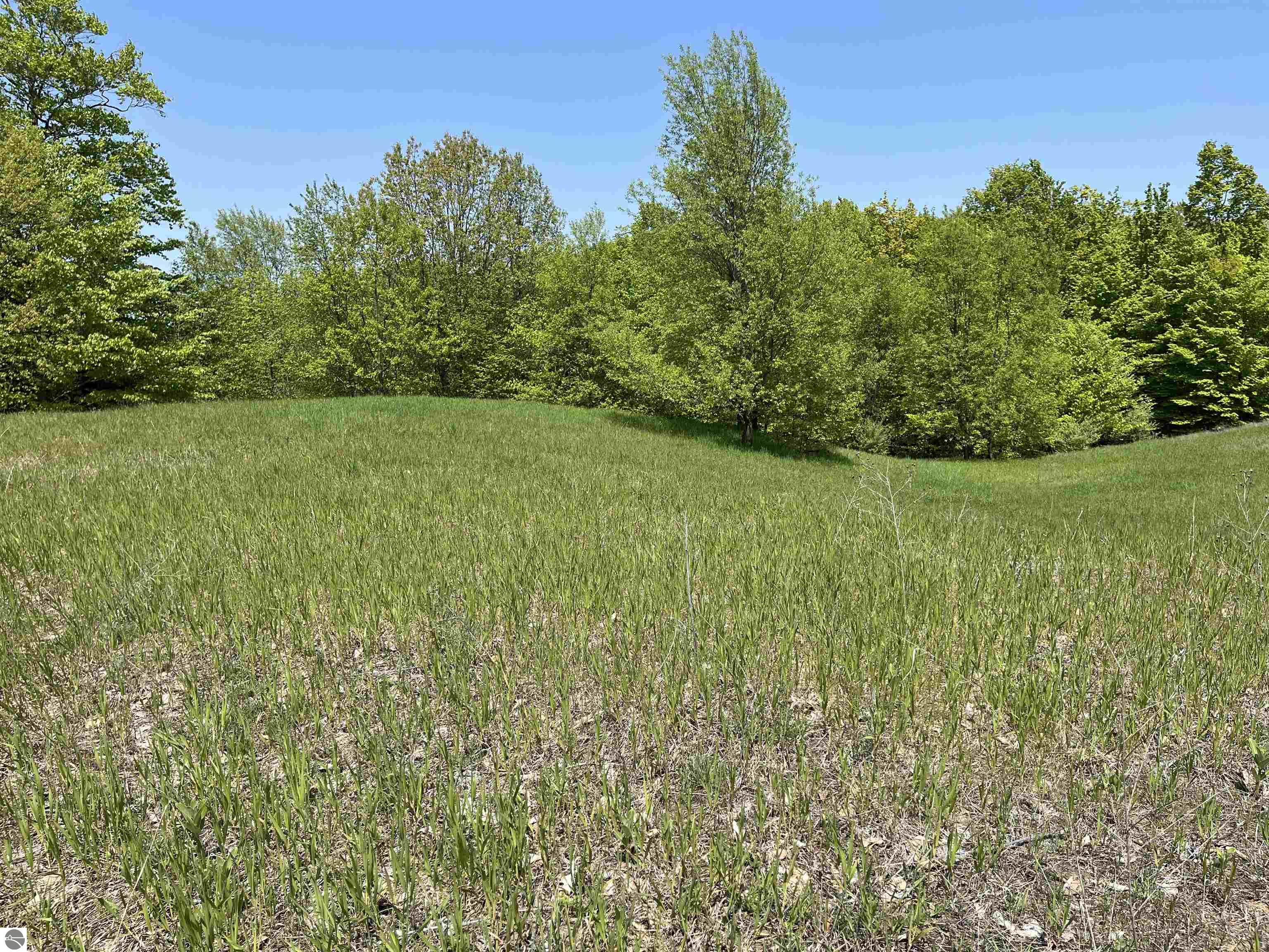015 Horton Creek Drive