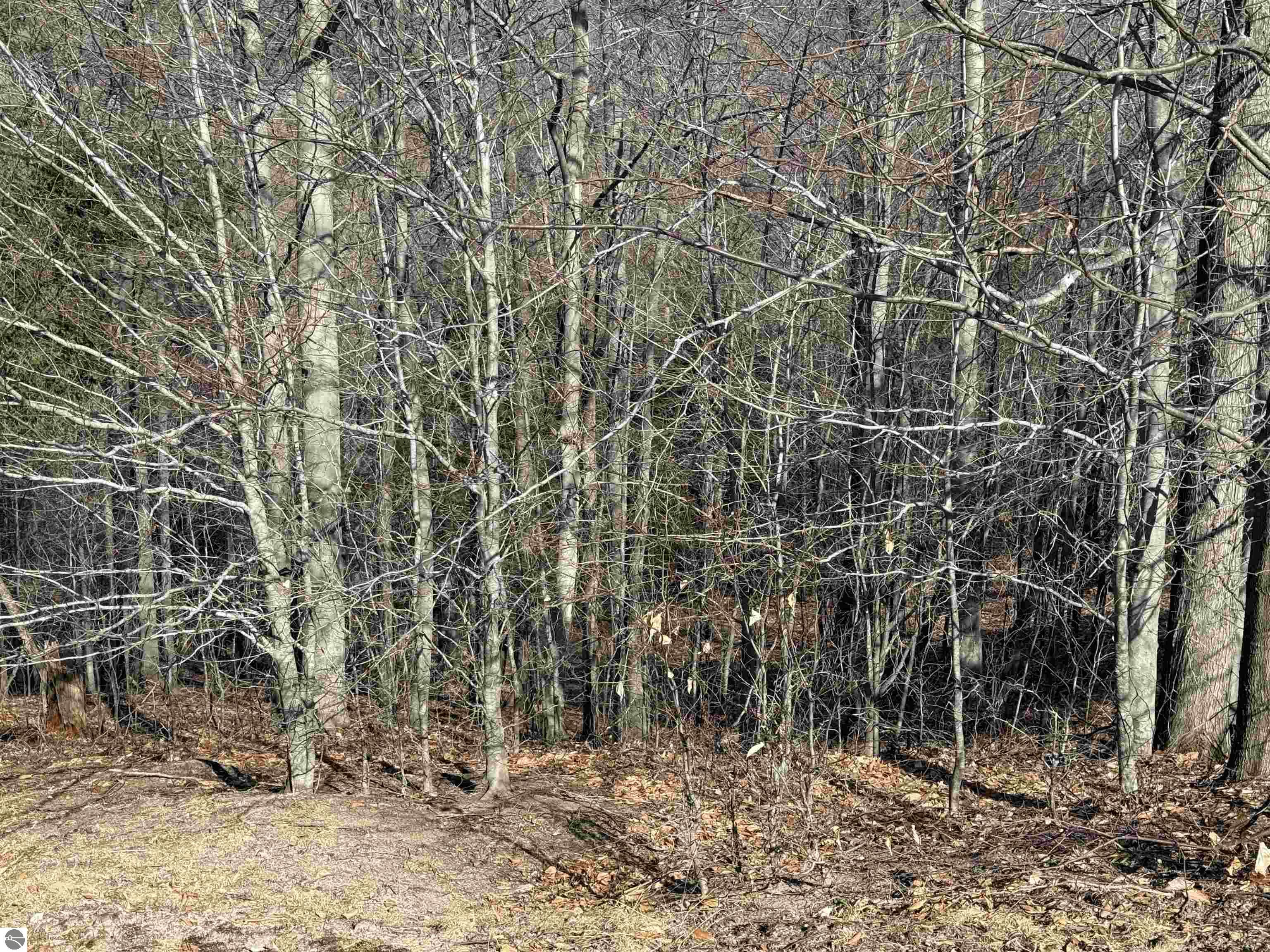 015 Horton Creek Drive