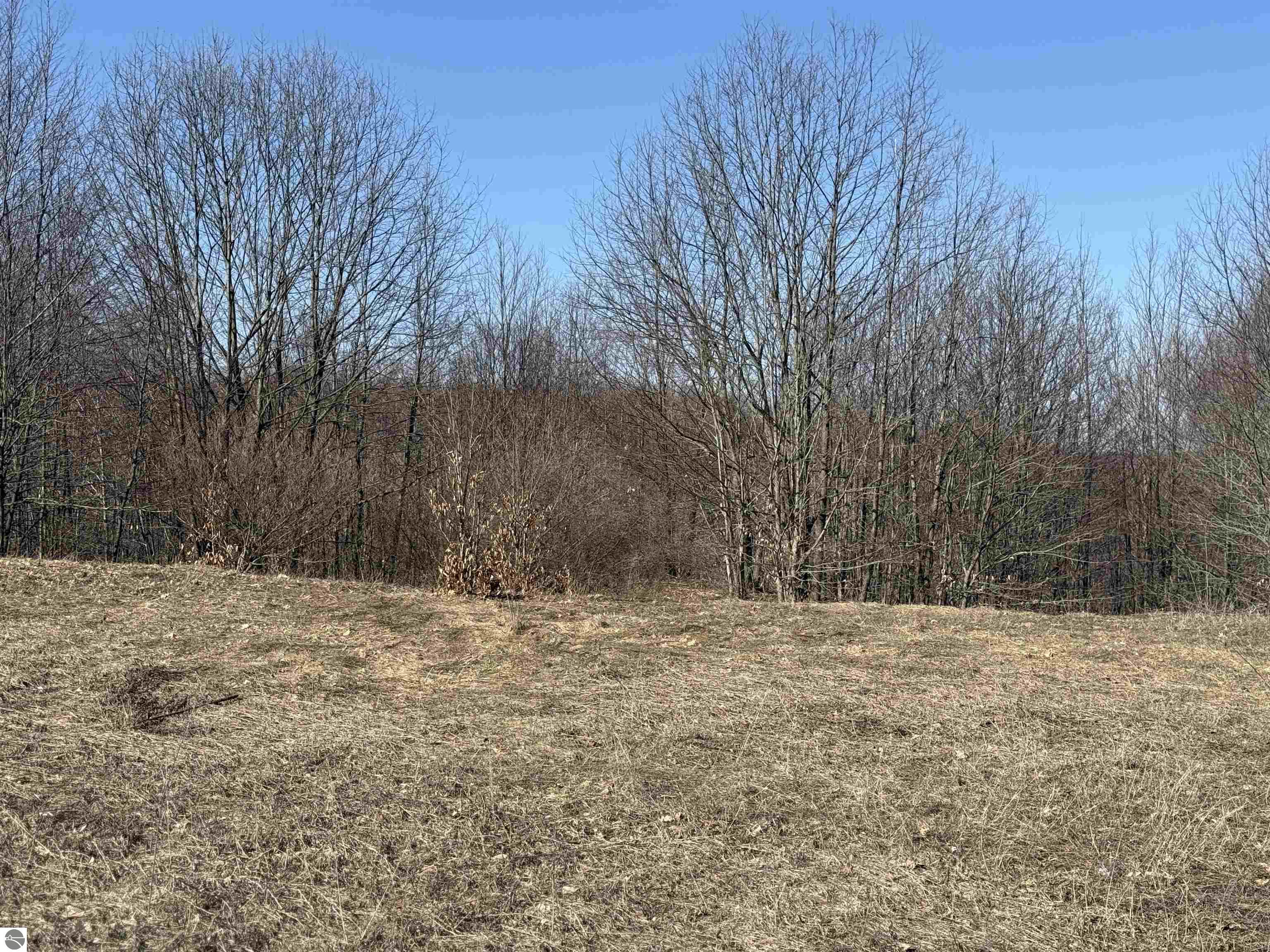 015 Horton Creek Drive