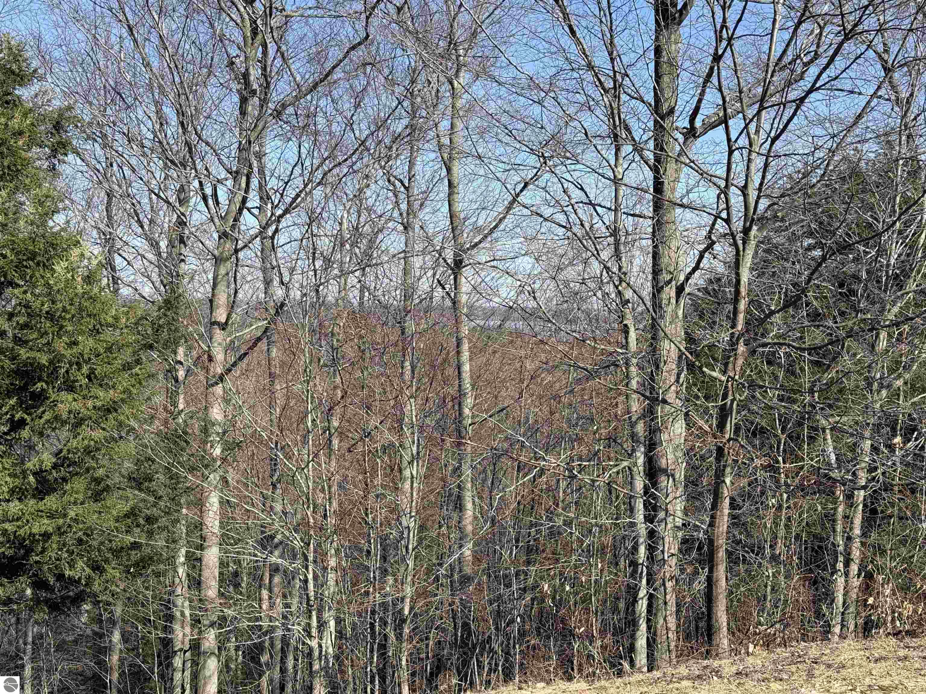 015 Horton Creek Drive