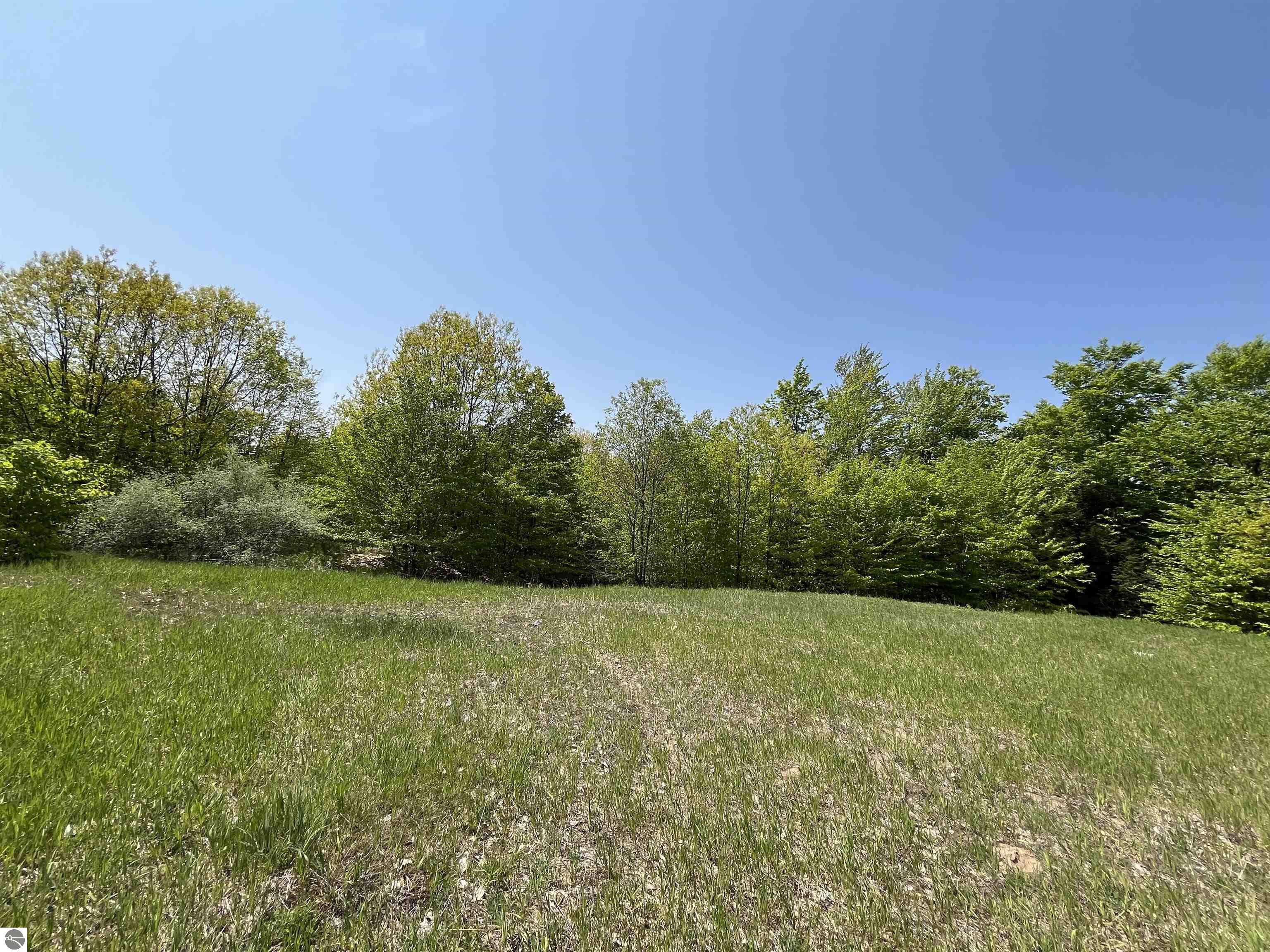 015 Horton Creek Drive