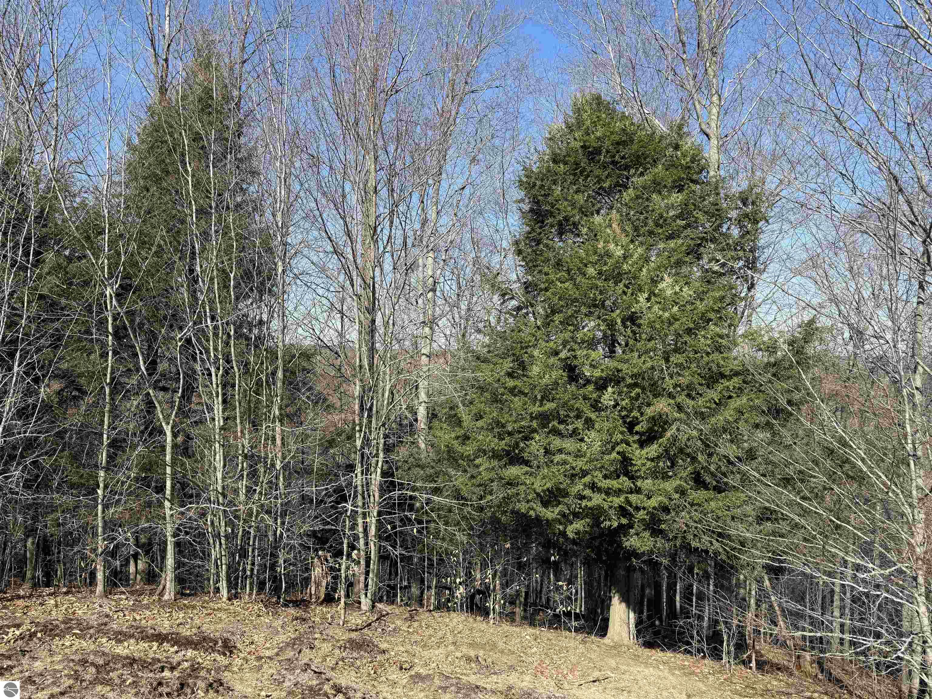 015 Horton Creek Drive