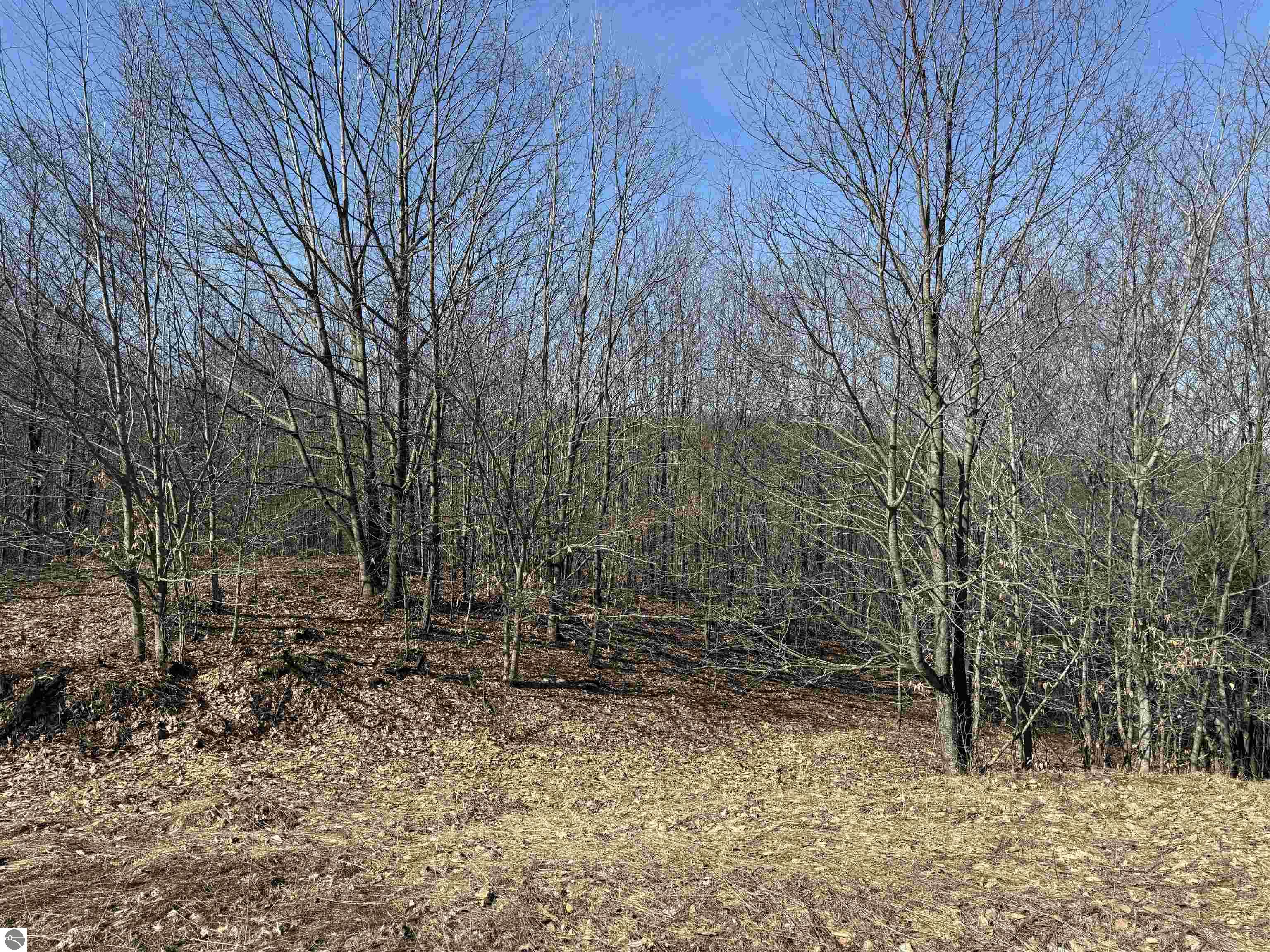 015 Horton Creek Drive