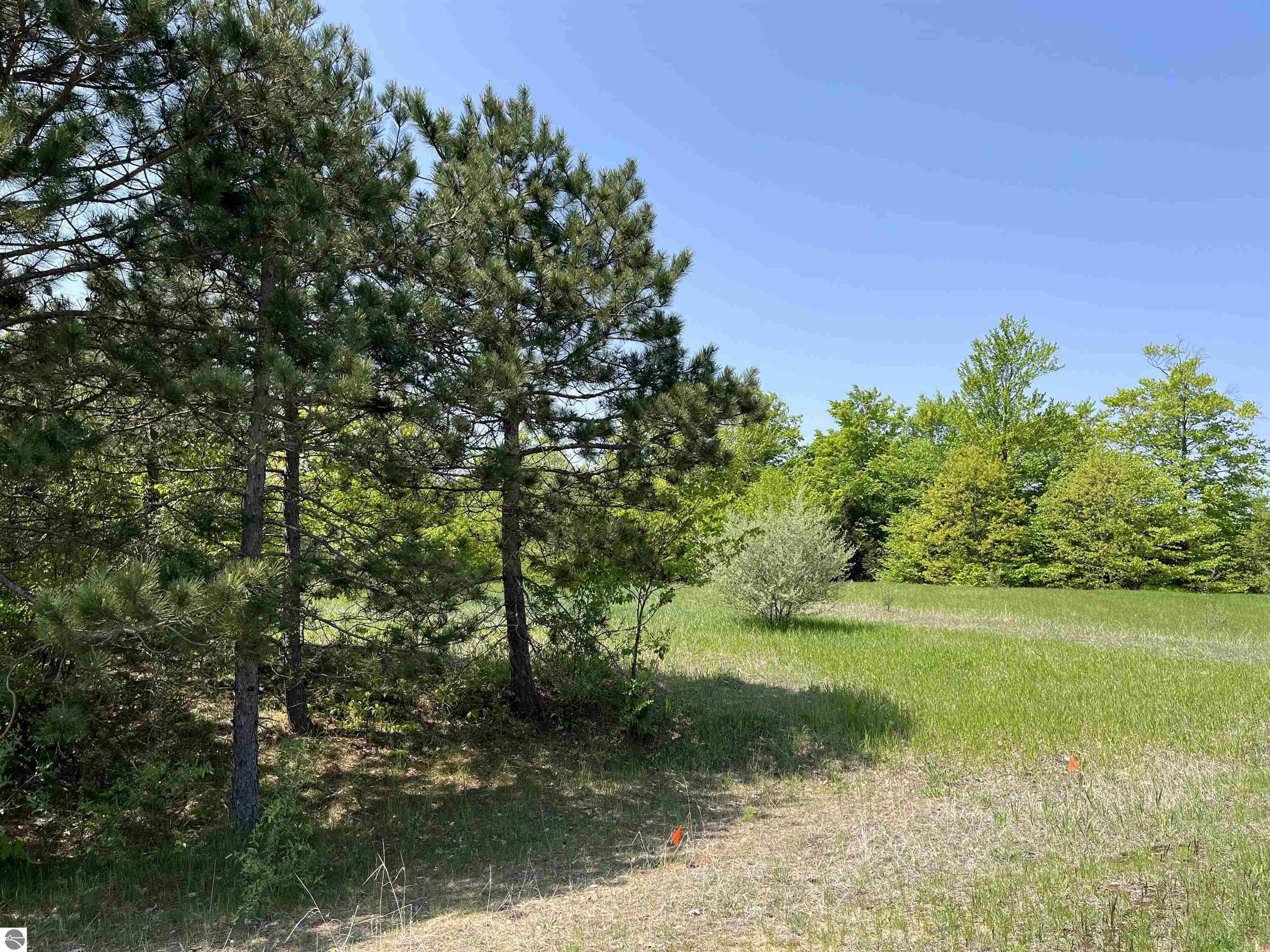 015 Horton Creek Drive