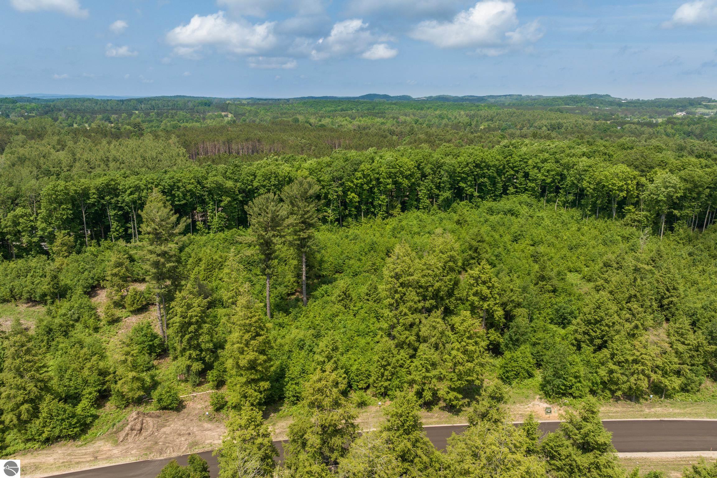 8852 Hemlock Hill Drive