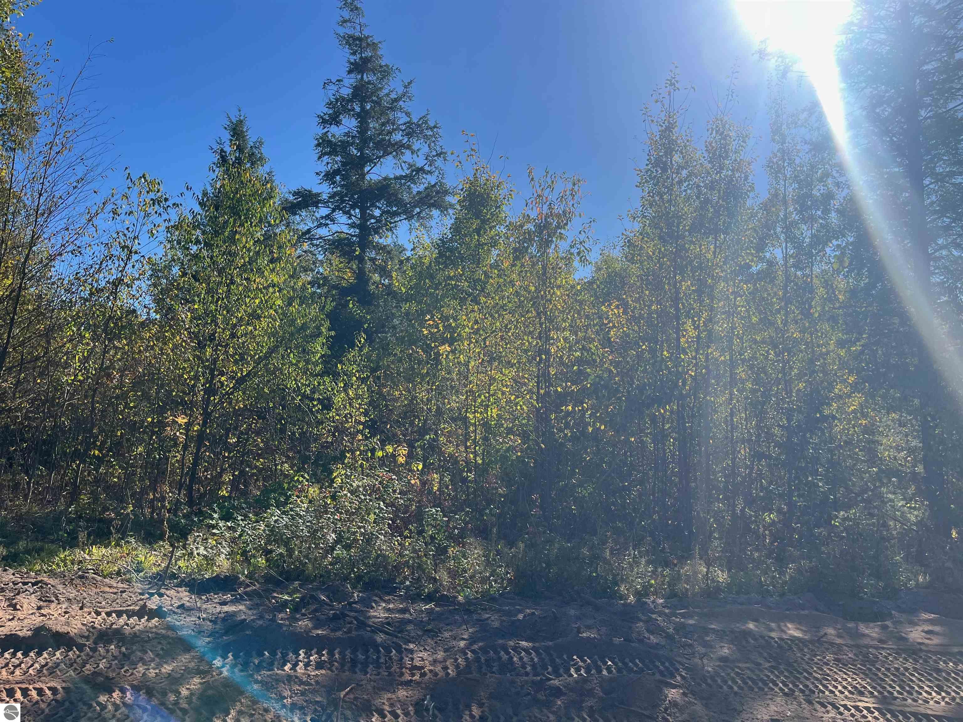 8889 Hemlock Hill Drive