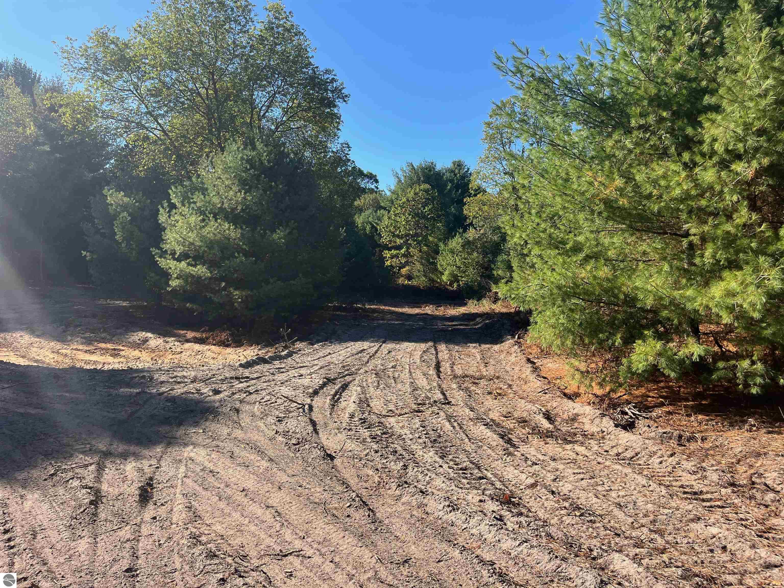 4717 Leaning Birch Drive