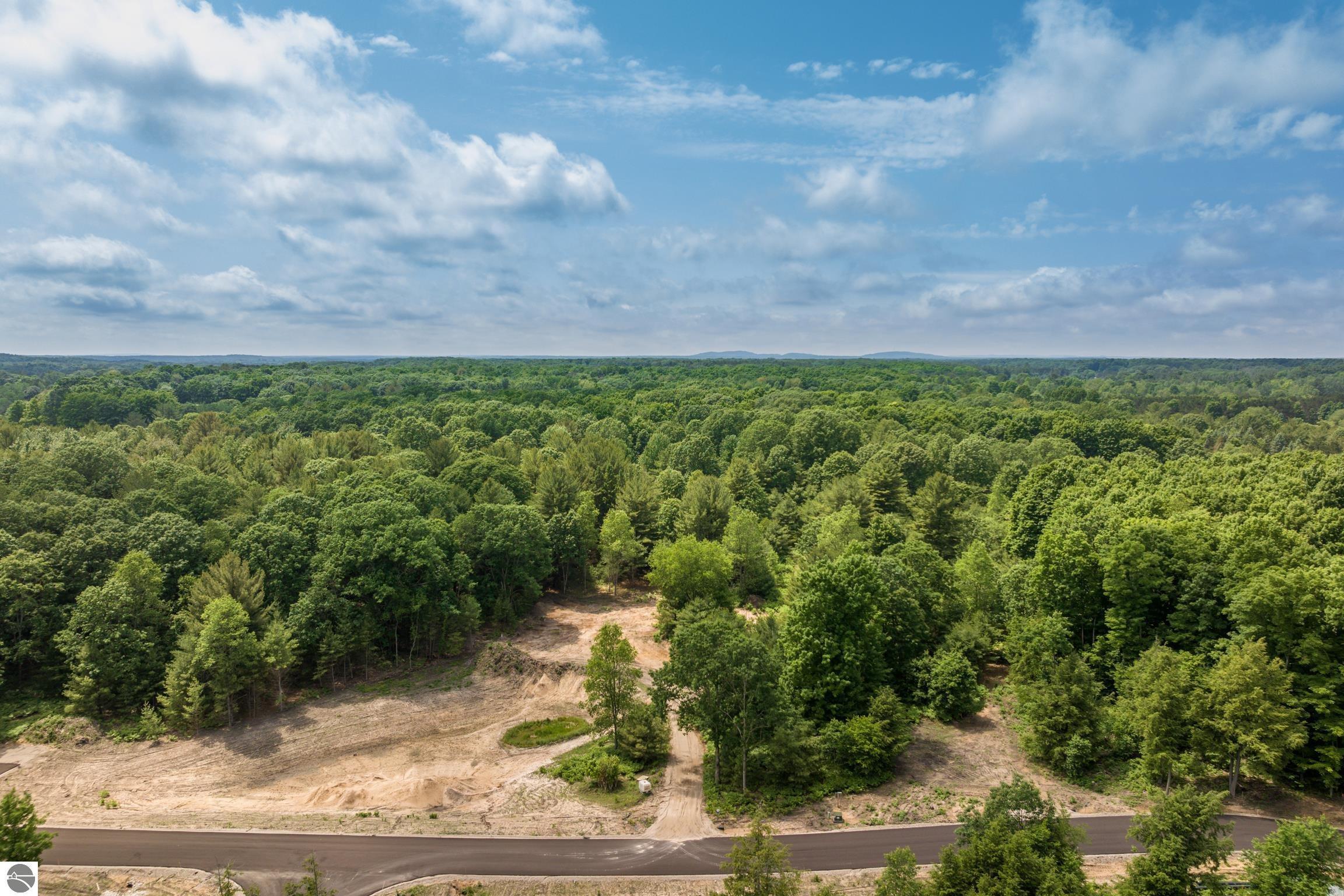 4717 Leaning Birch Drive