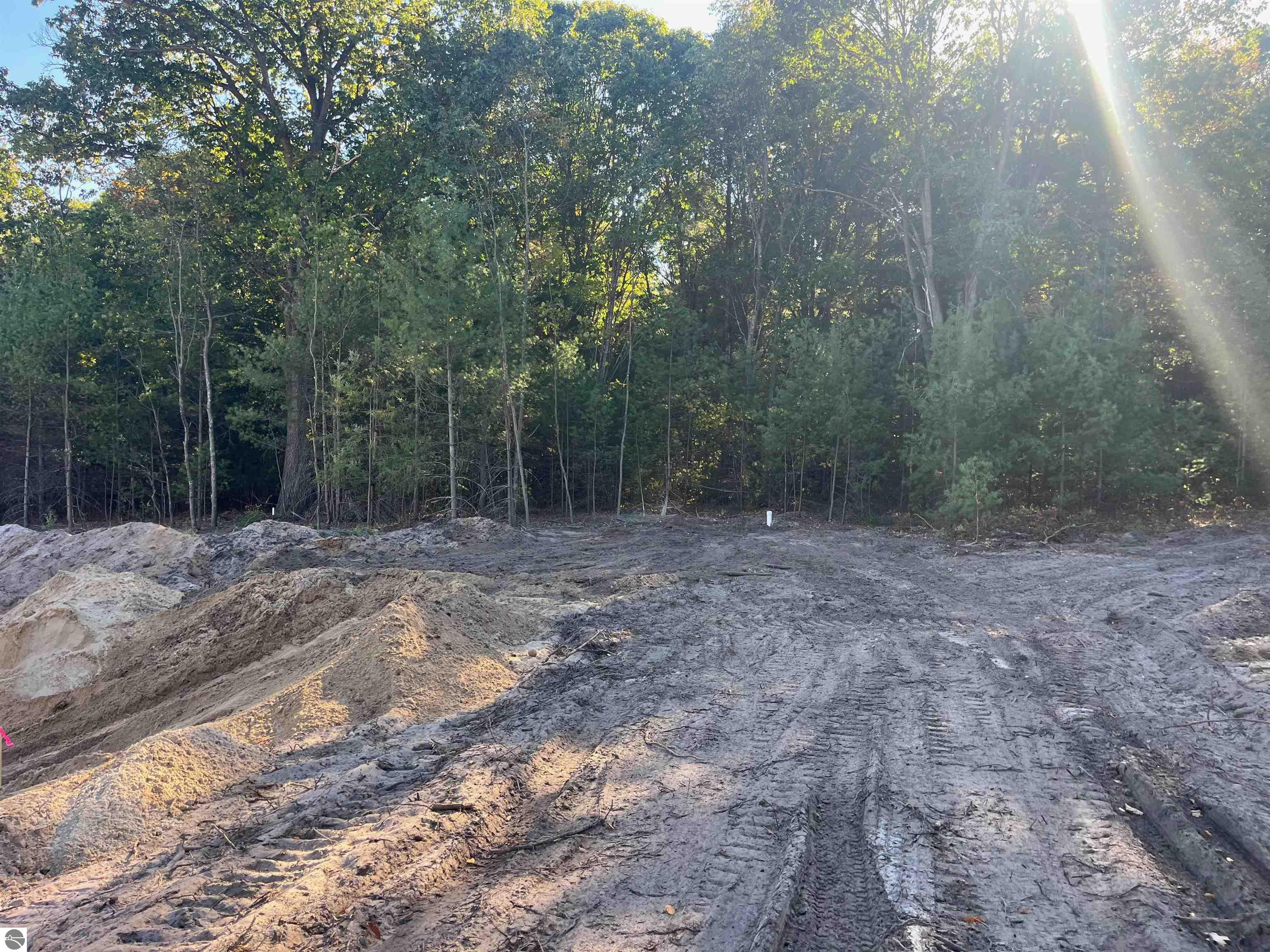 4717 Leaning Birch Drive