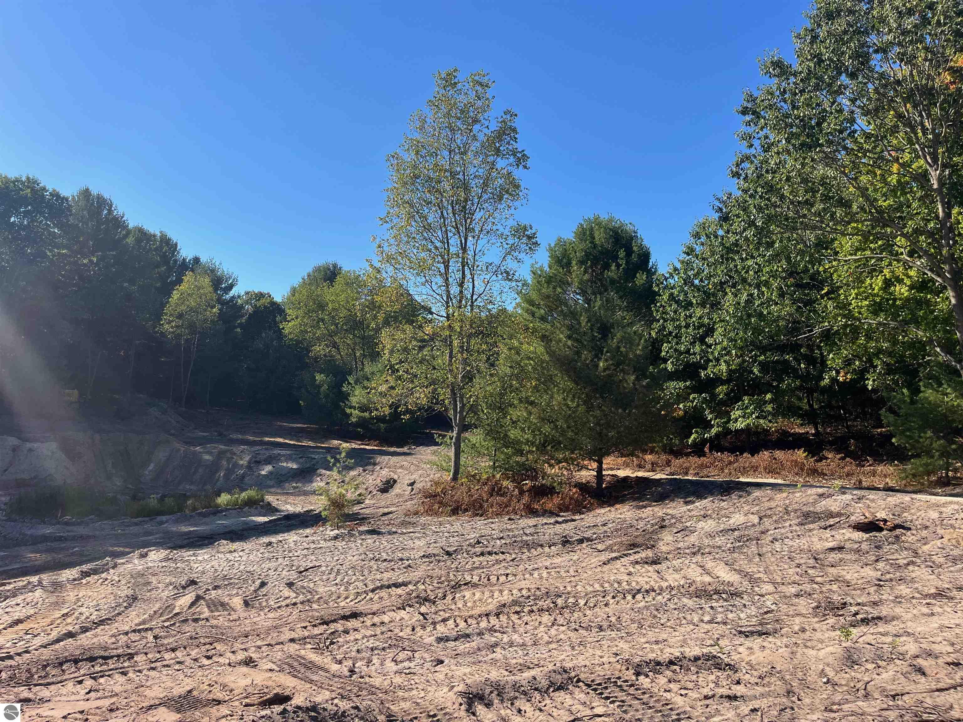 4717 Leaning Birch Drive