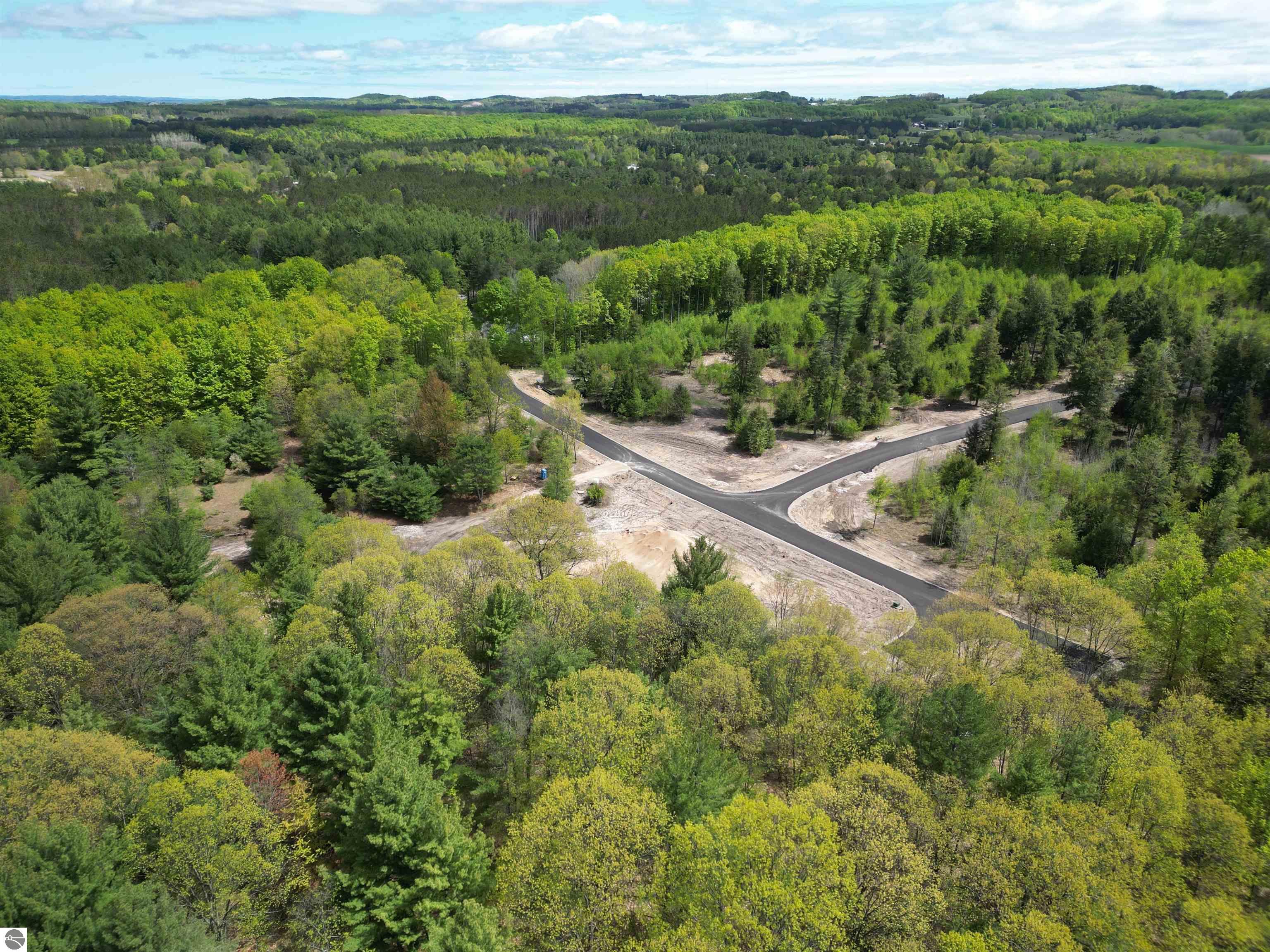 4717 Leaning Birch Drive