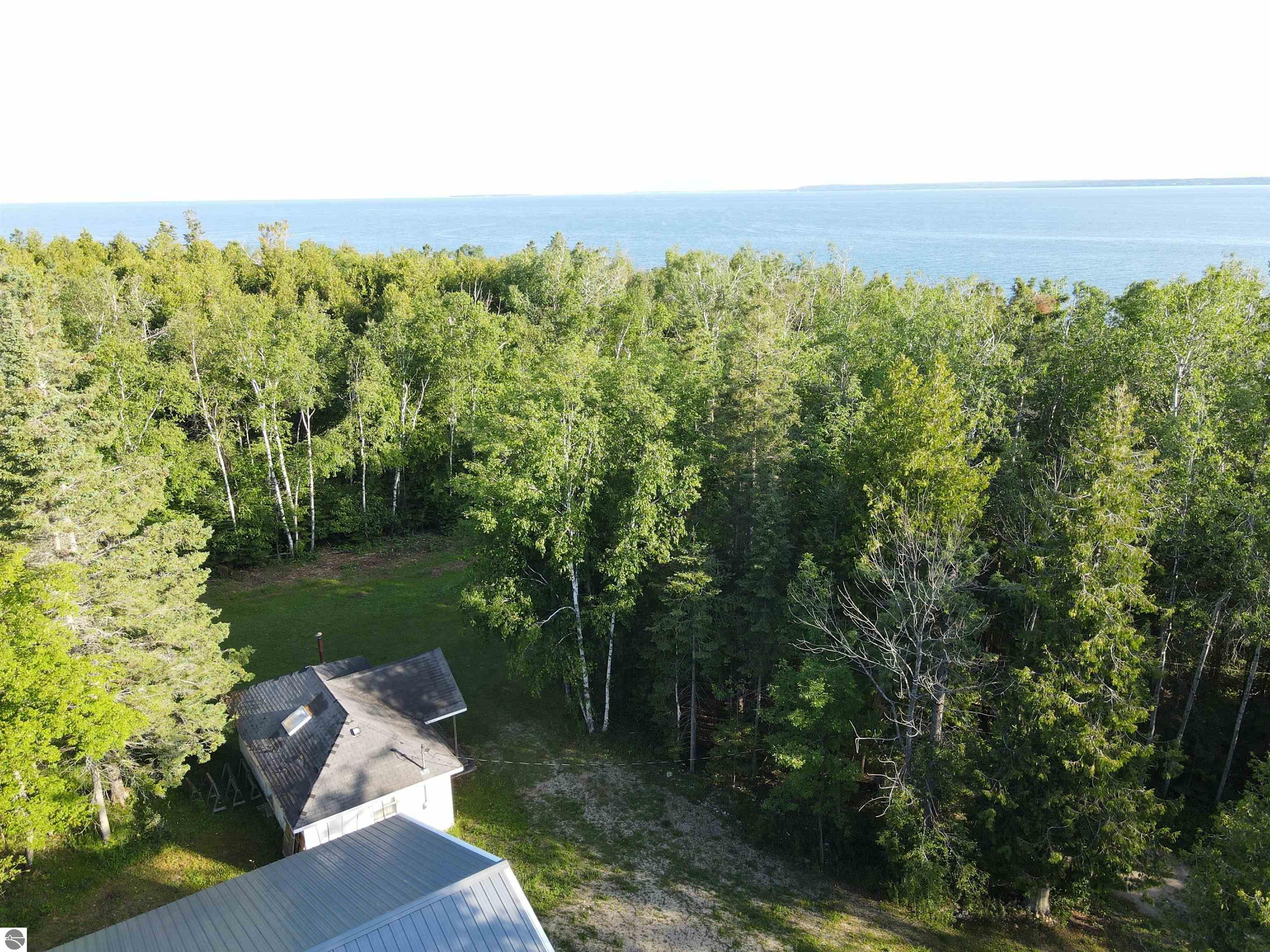 1550 Birch