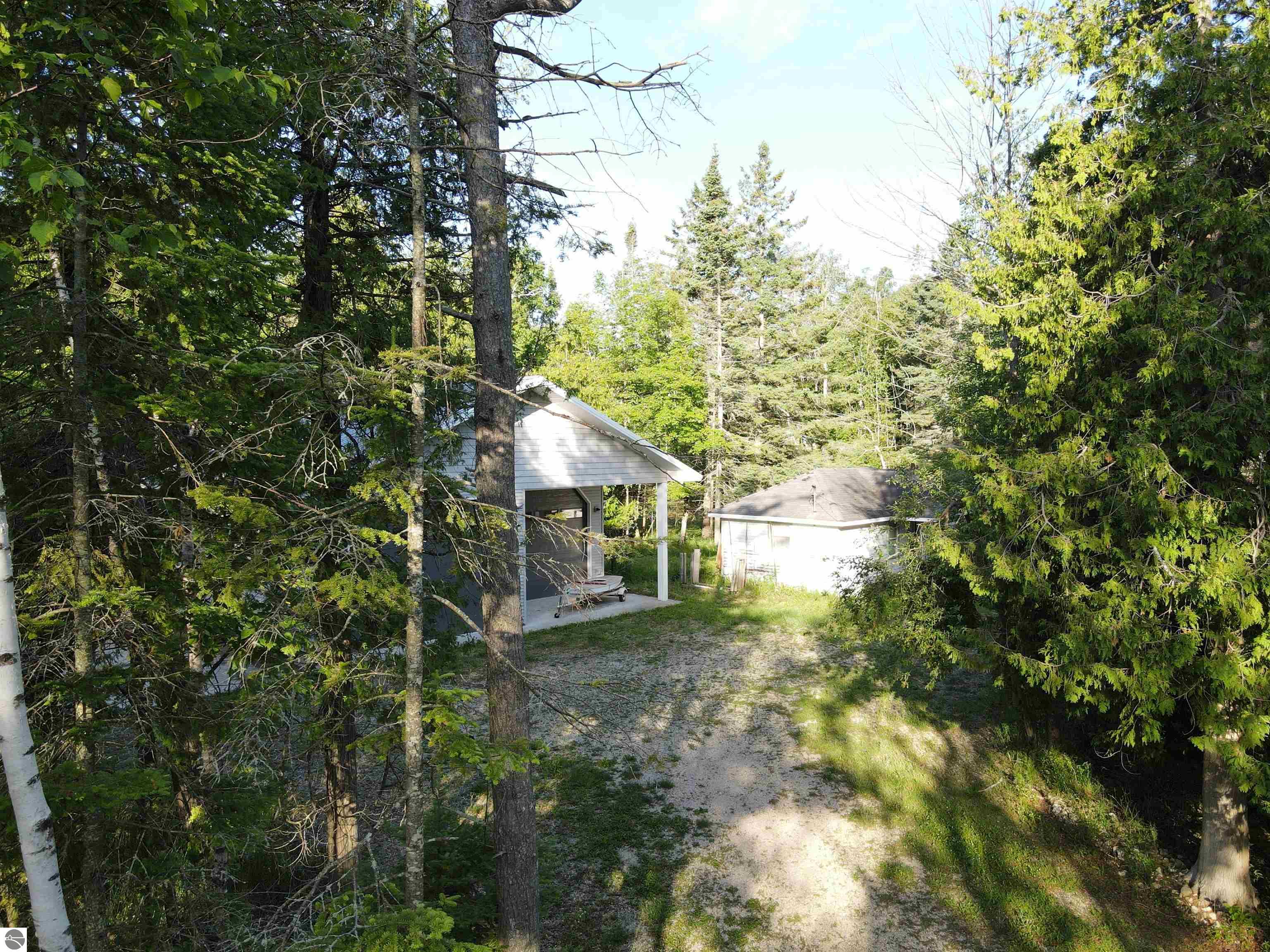 1550 Birch