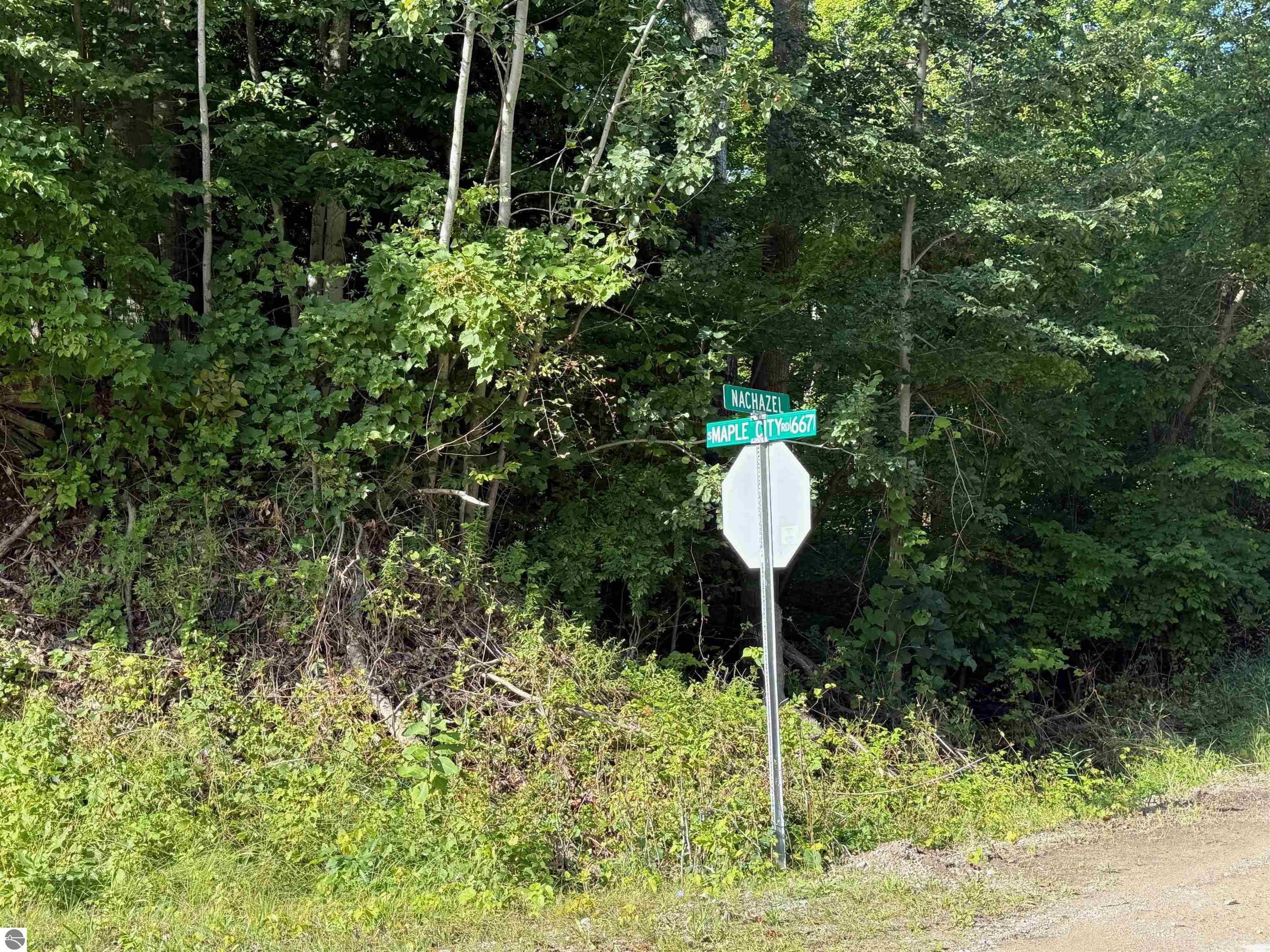 161 W Nachazel Road