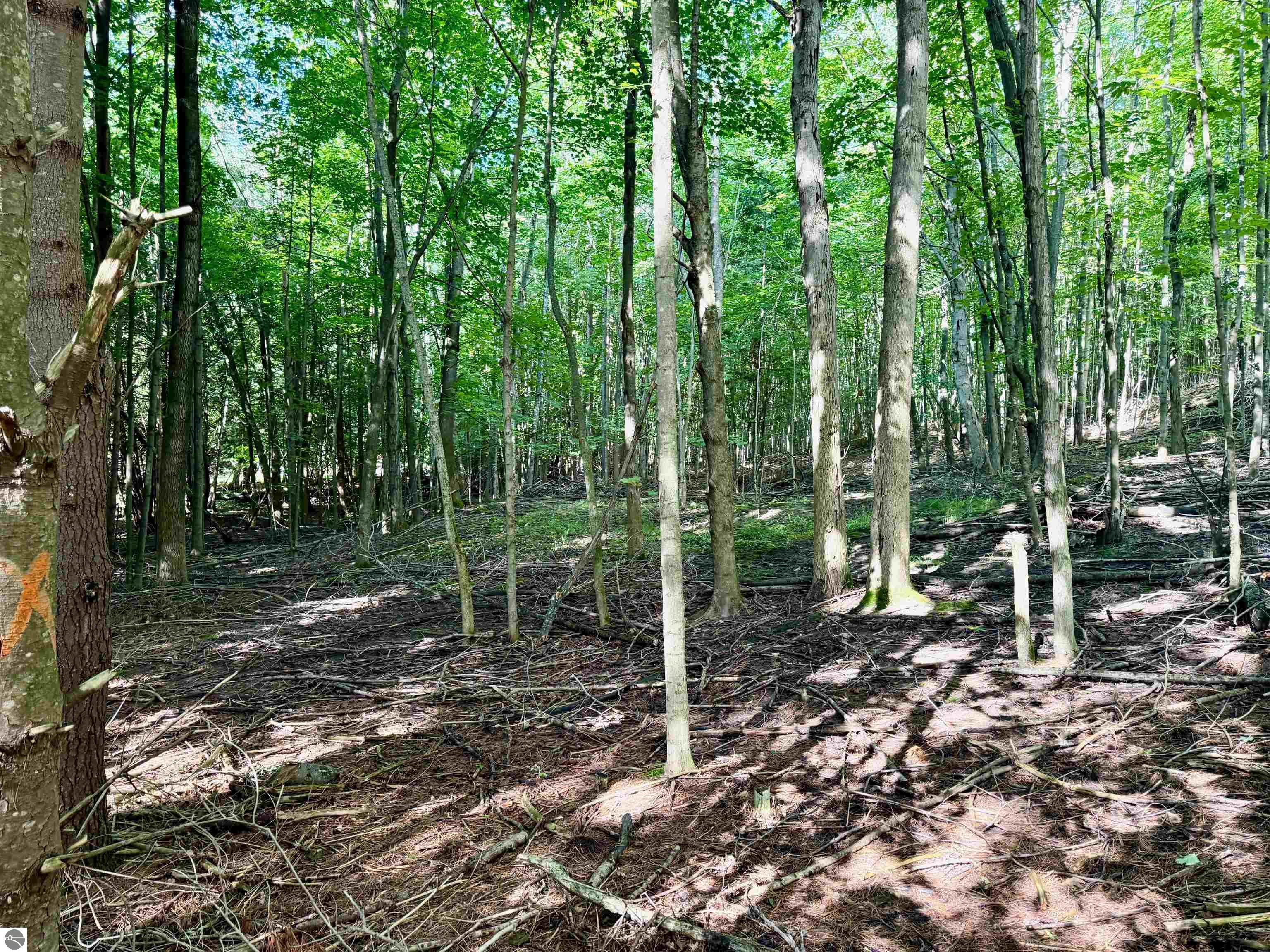 161 W Nachazel Road