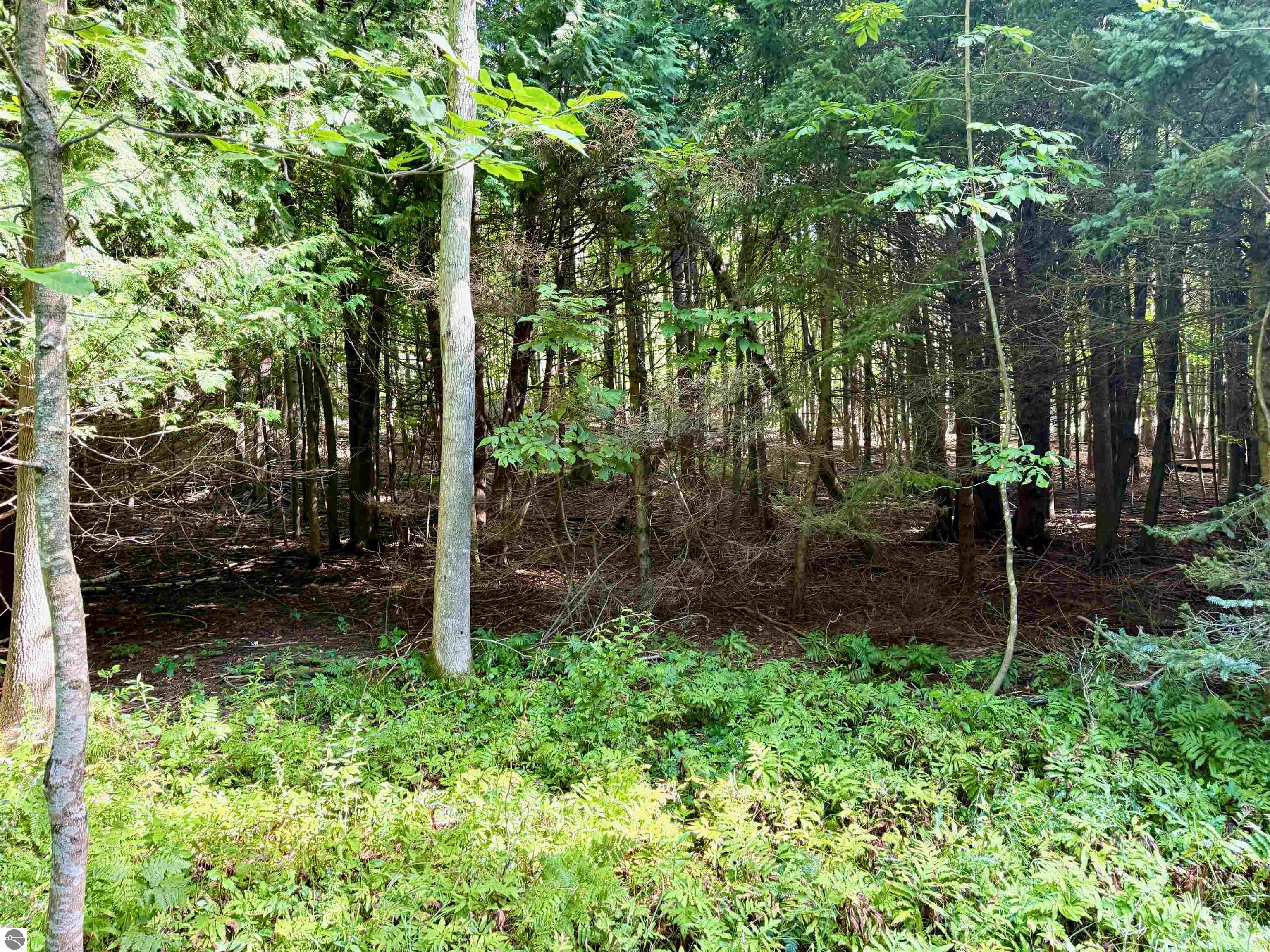 161 W Nachazel Road
