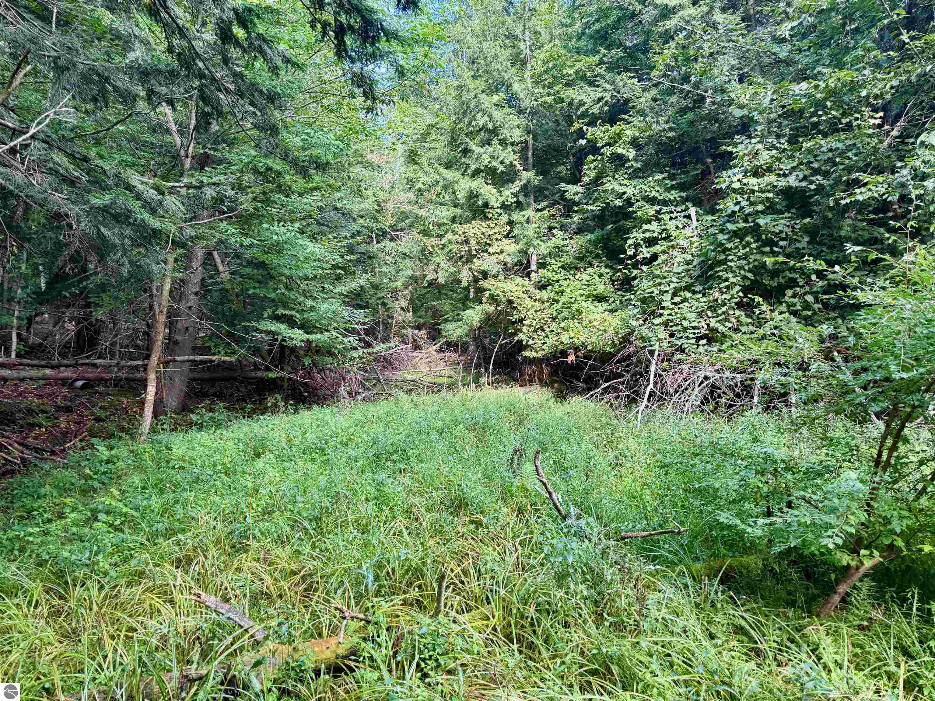 161 W Nachazel Road