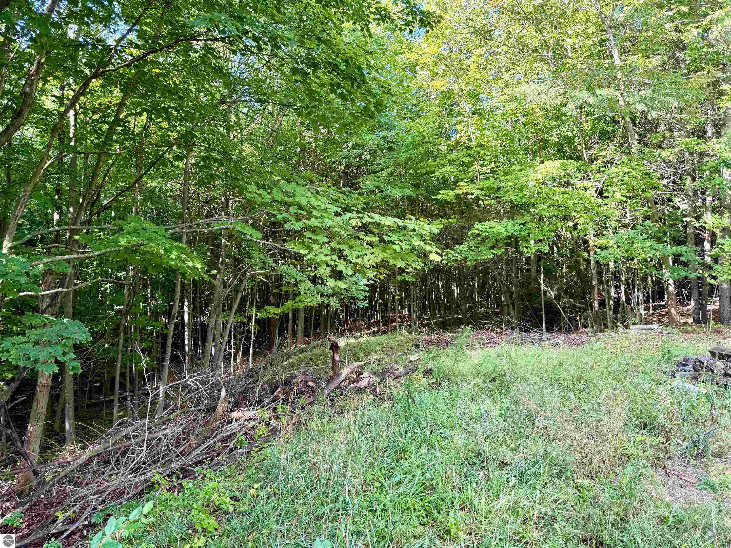 161 W Nachazel Road