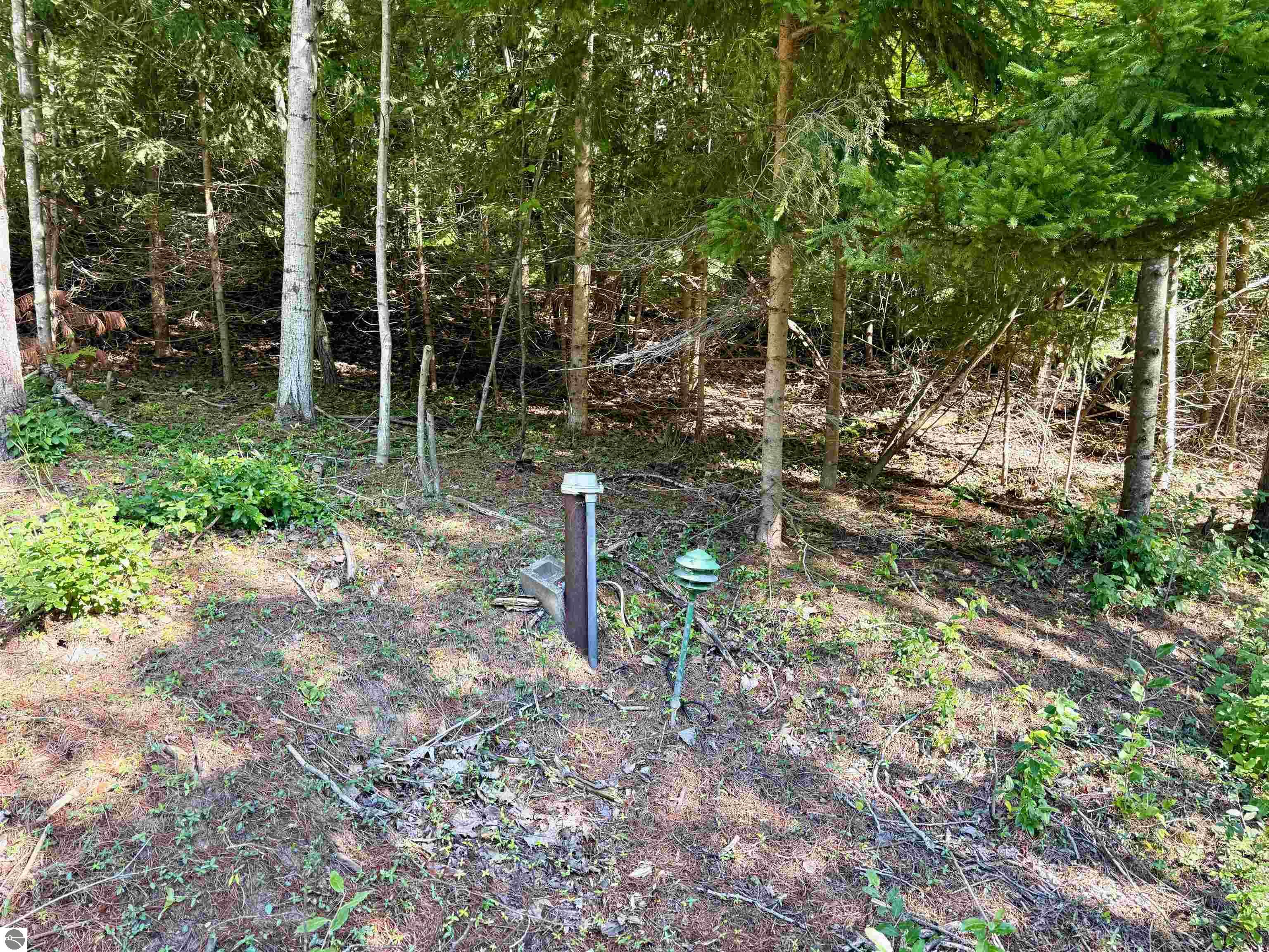 161 W Nachazel Road