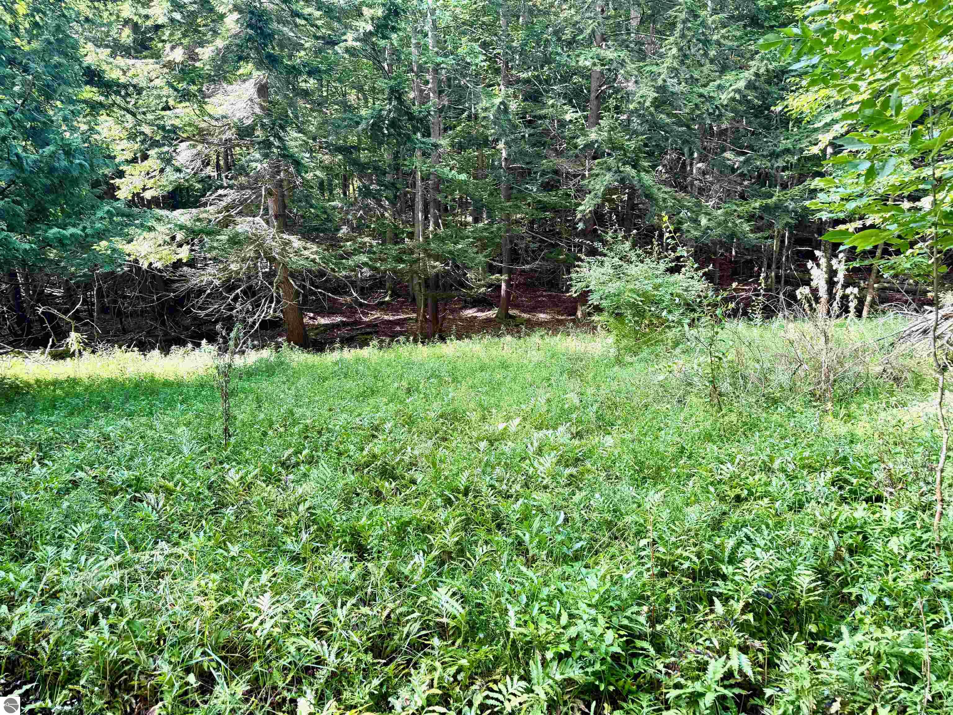 161 W Nachazel Road