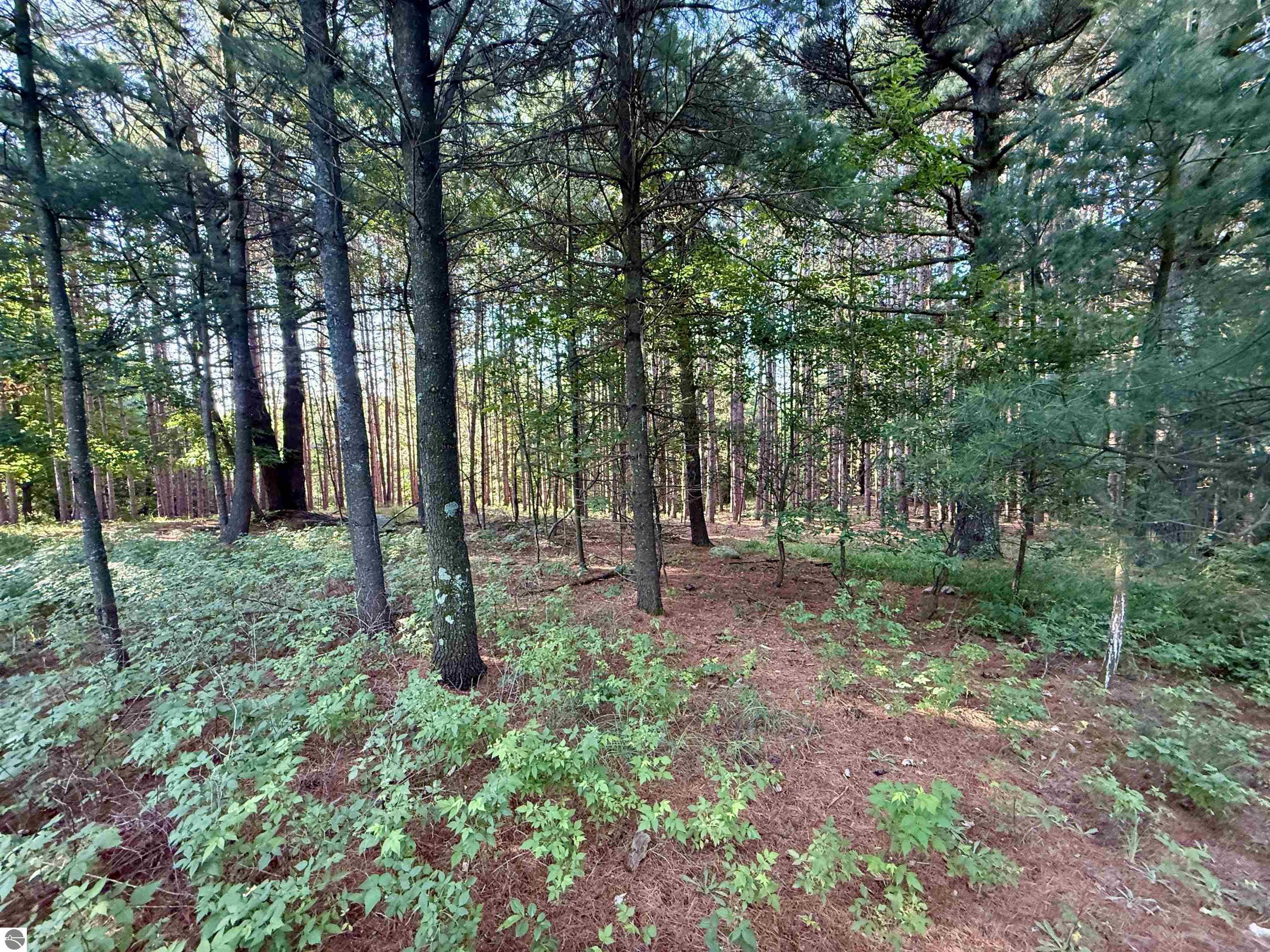 015 S Westview Drive