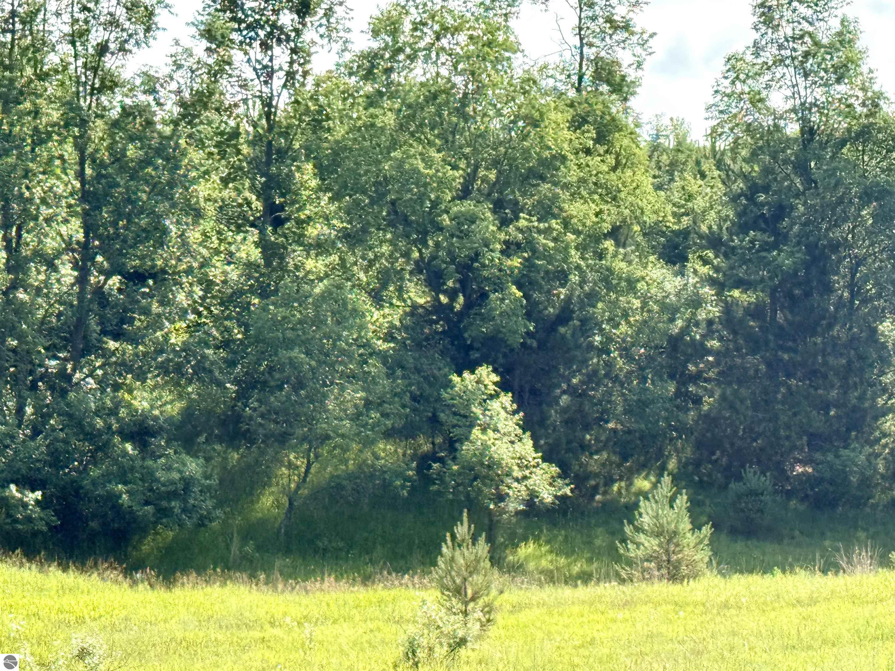 00 N 25 Road
