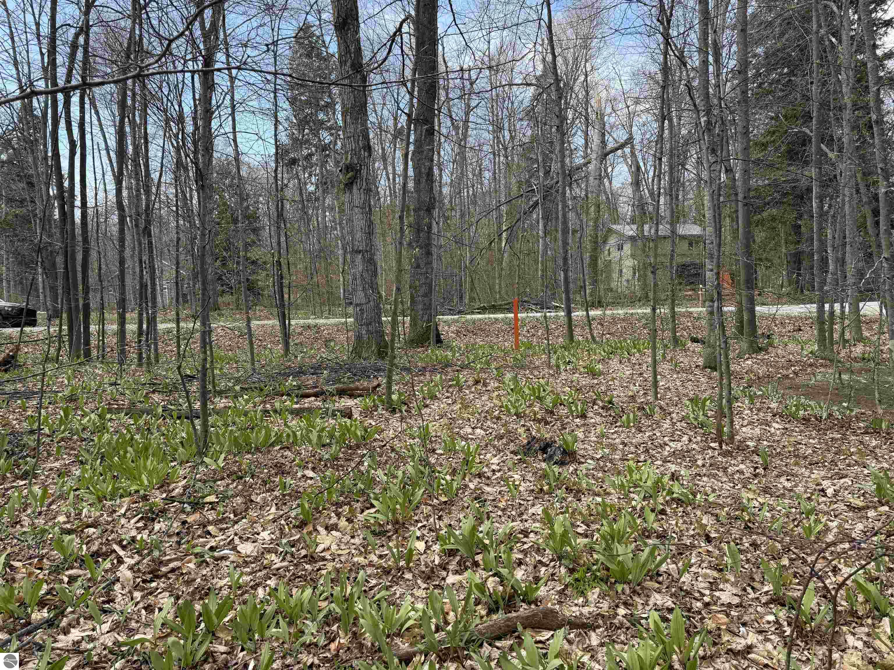 0000 E Sugar Maple Drive