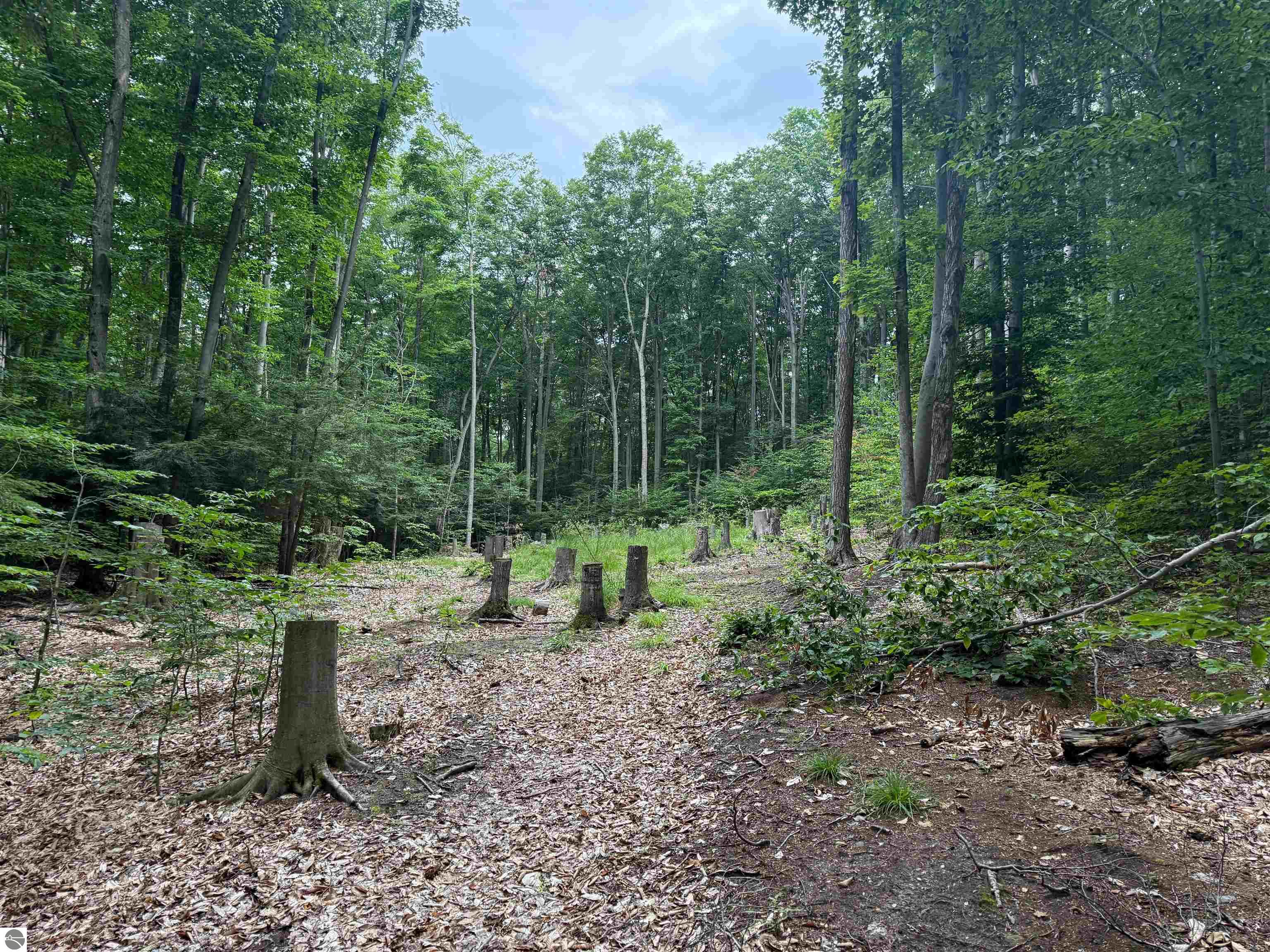 0000 S Bridle Trail